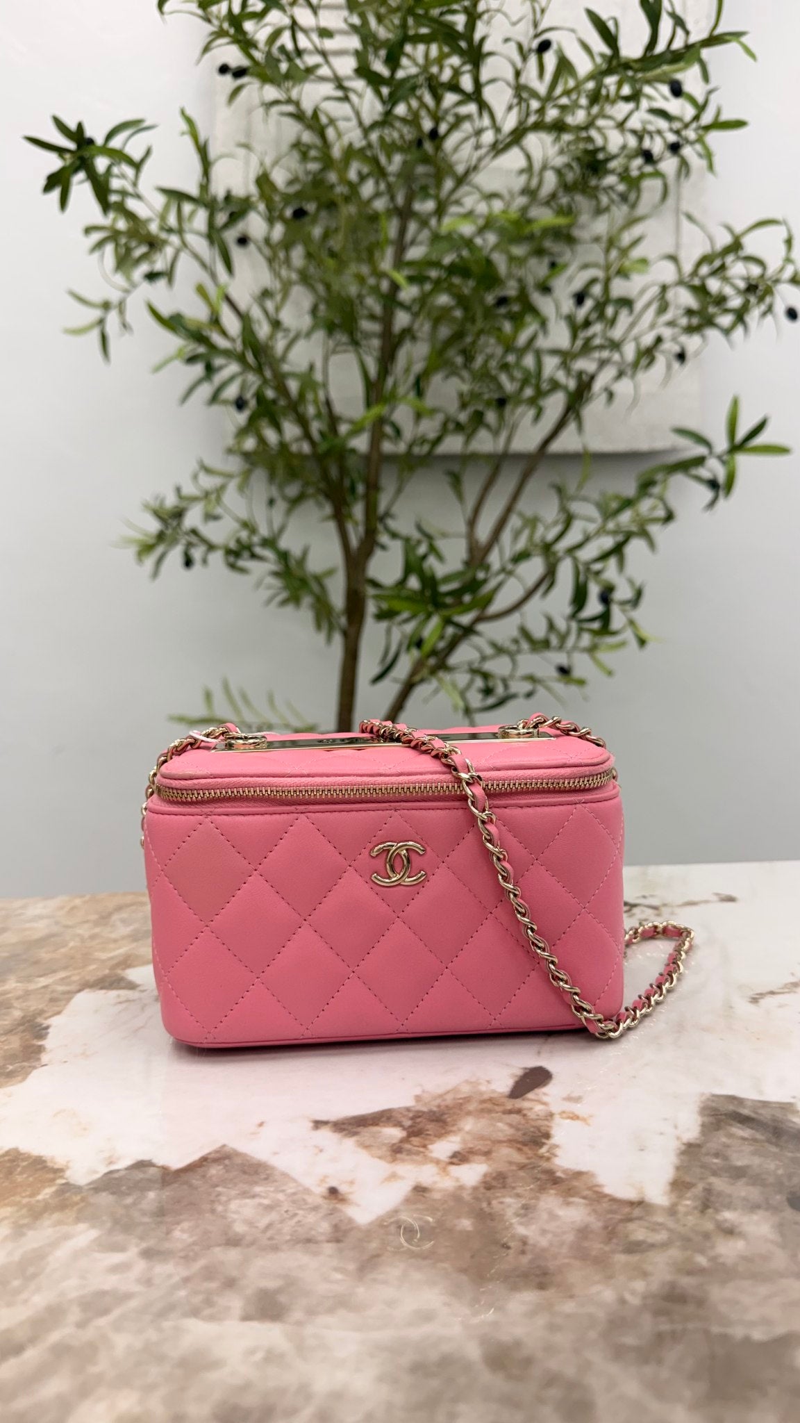 Chanel Pink Lambskin Leather Vanity Case Chain Crossbody 