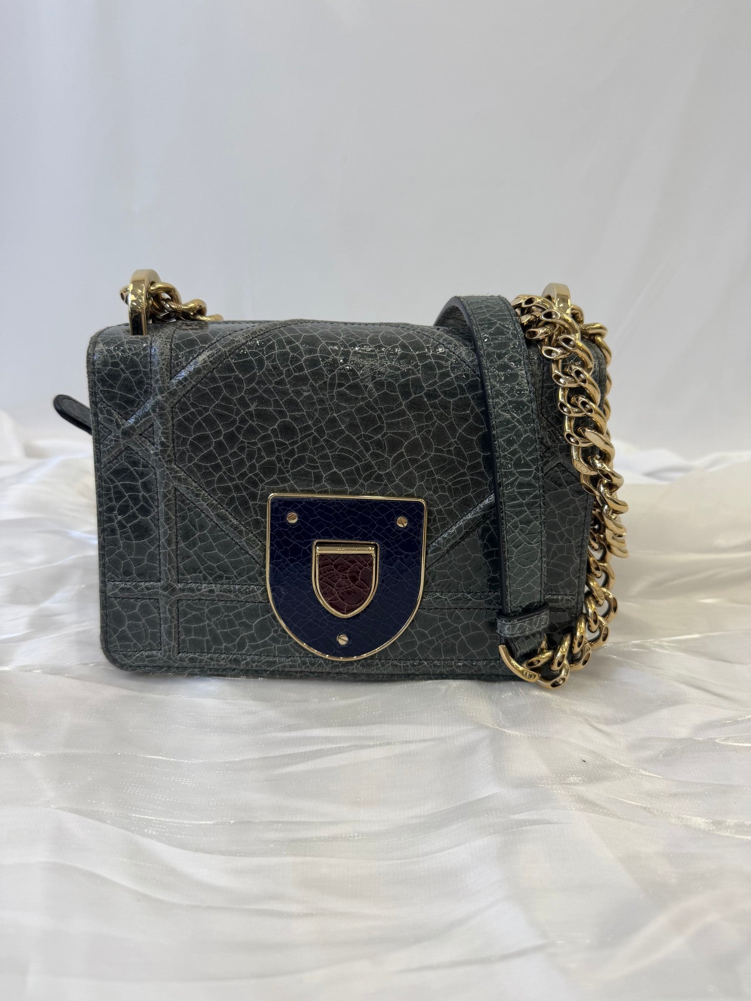 Christian Dior Multicolor Leather Diorama Club Flap Bag