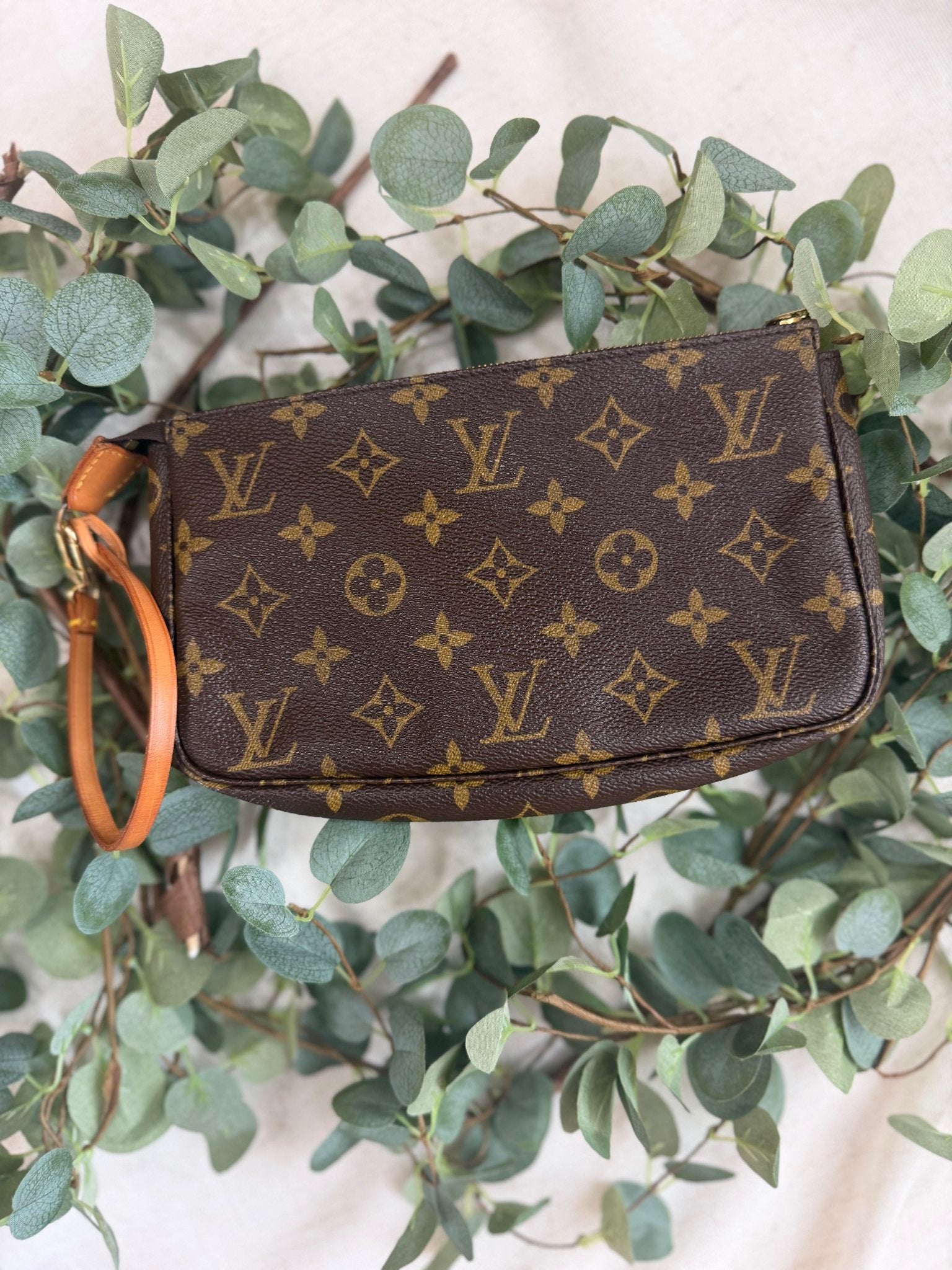 Louis Vuitton Monogram Pochette Accessories