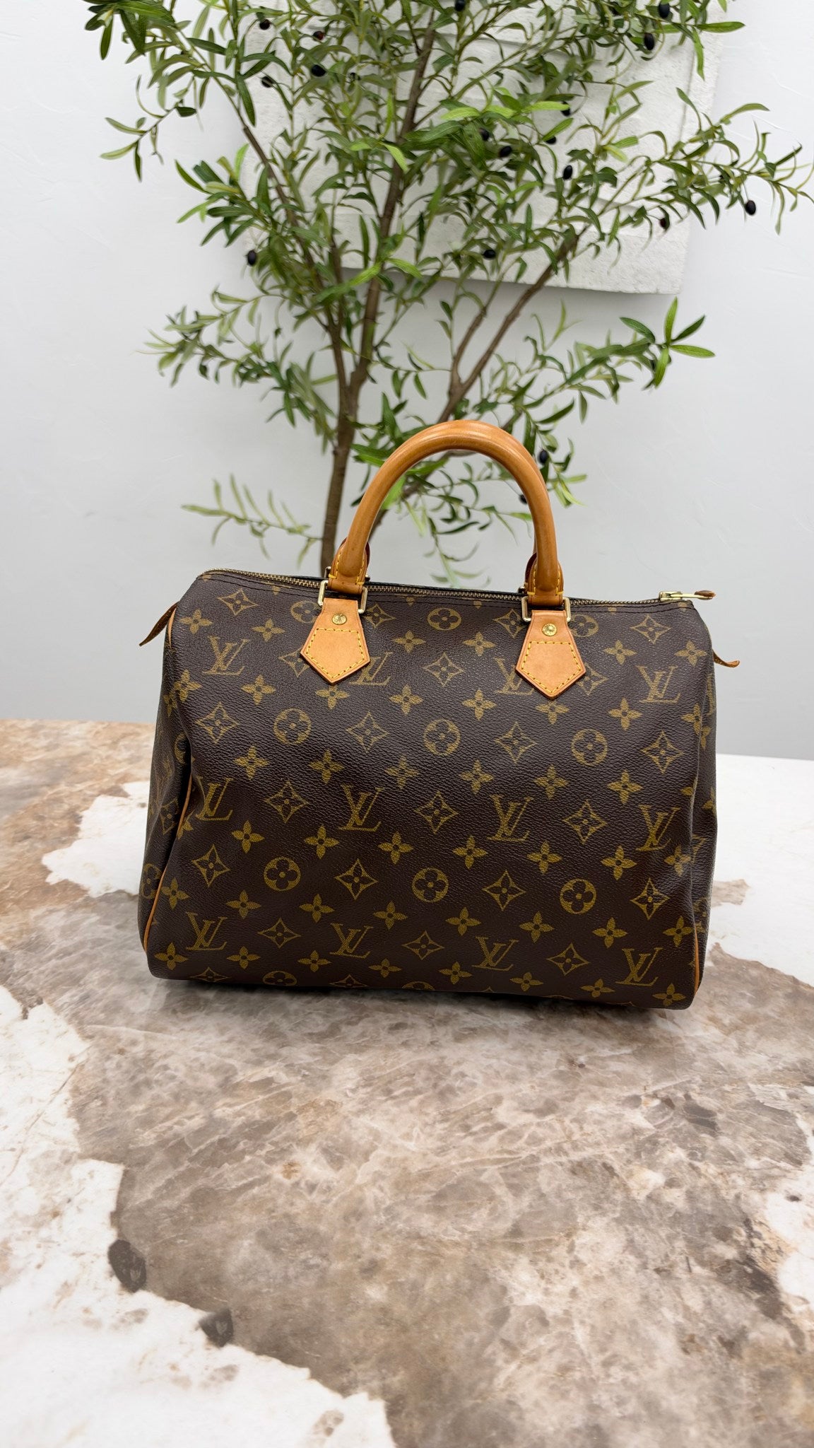 Louis Vuitton Monogram Speedy 30 Handbag 