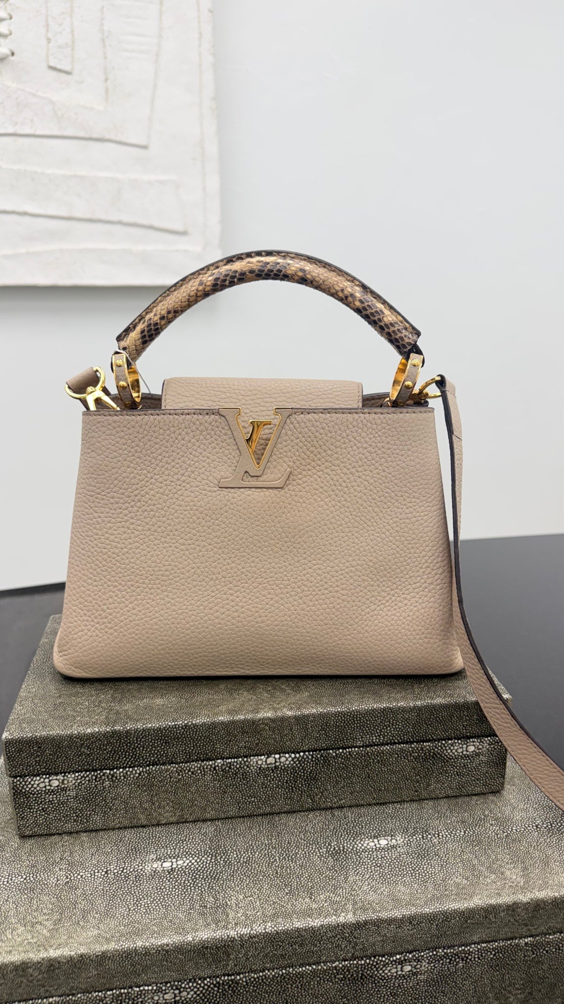 Louis Vuitton Grey And Python Taurillon Leather Capucines BB Handbag