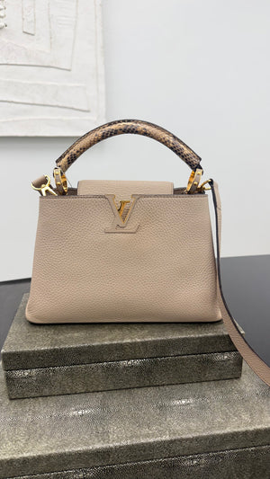 Louis Vuitton Grey And Python Taurillon Leather Capucines BB Handbag