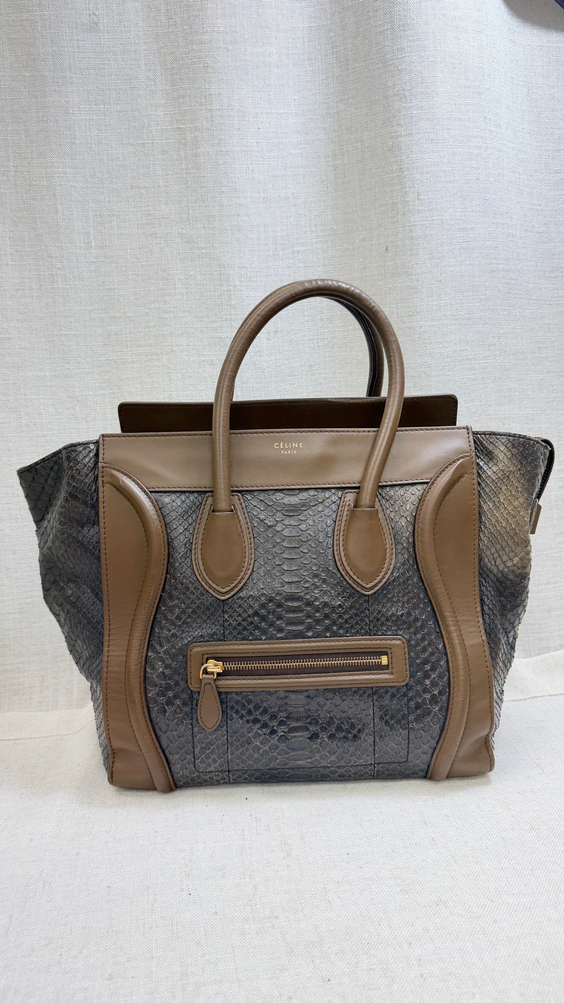 Celine Brown Python Leather Mini Luggage Tote Bag 
