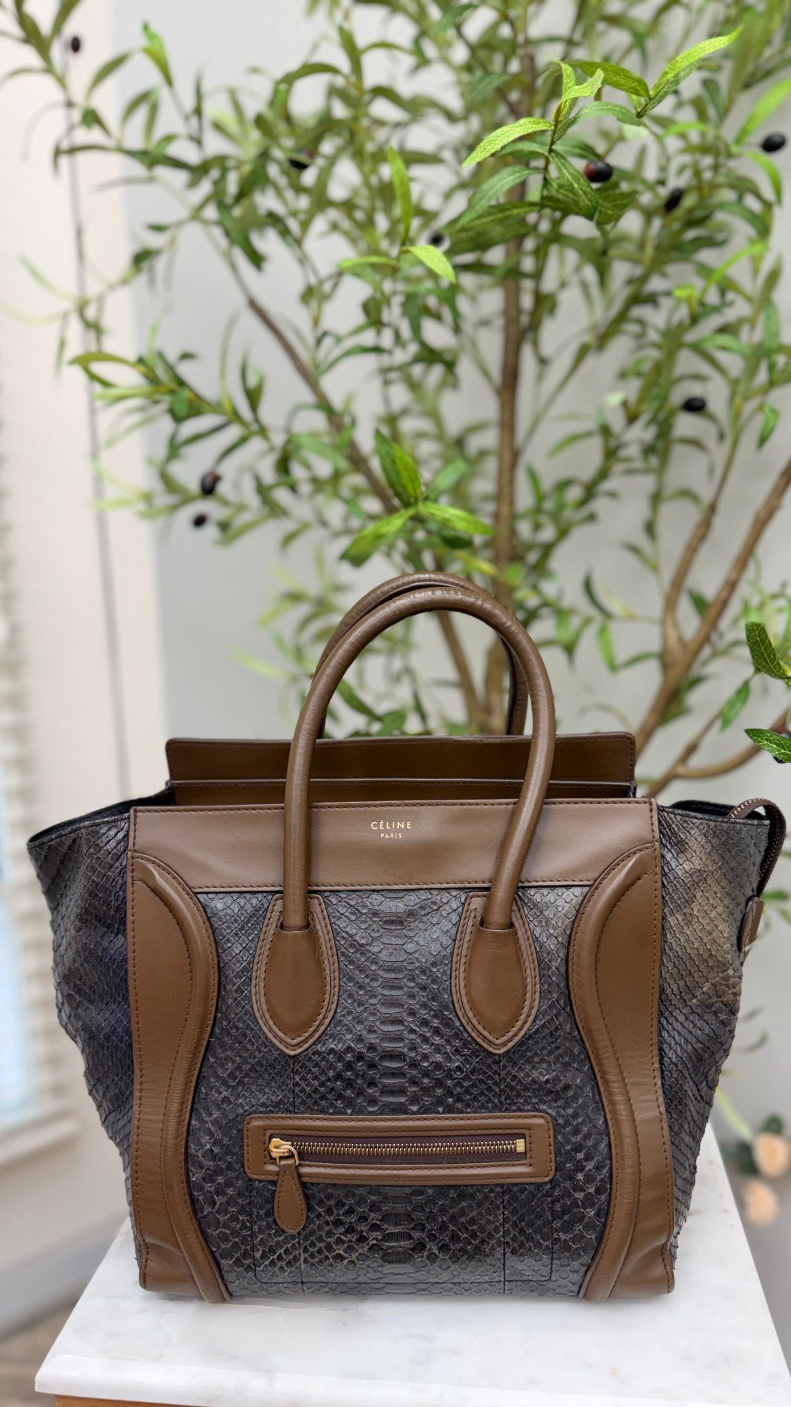 Celine Brown Python Leather Mini Luggage Tote Bag 