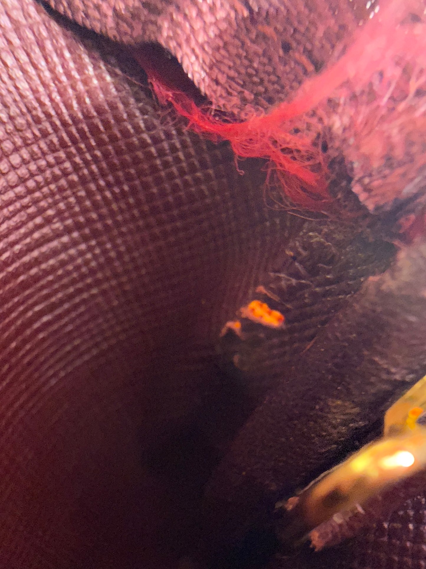 https://res.cloudinary.com/dyql5hig8/image/upload/v1760112371/gvoalvsoe8n1kydtwvqt.jpg