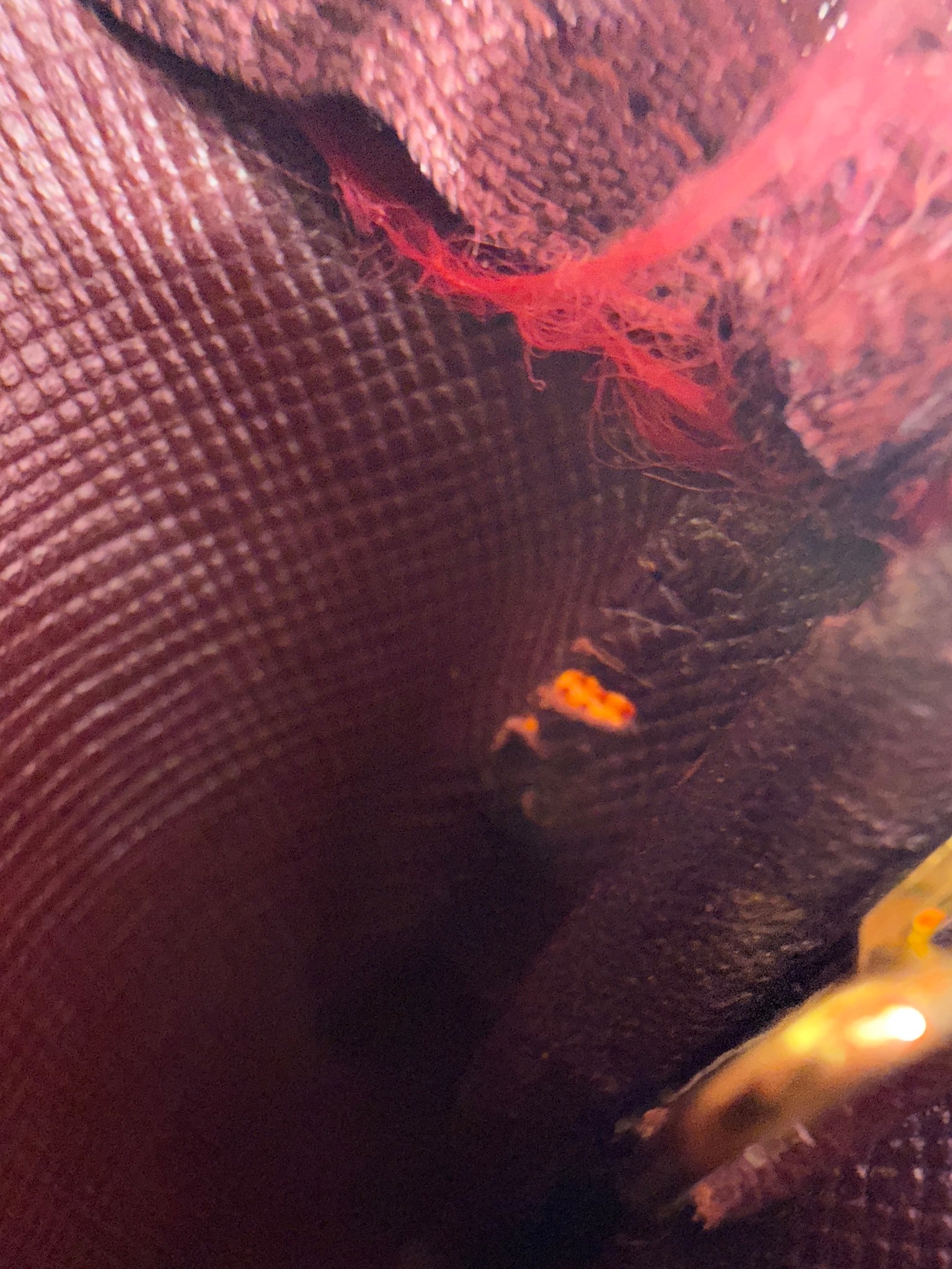 https://res.cloudinary.com/dyql5hig8/image/upload/v1760112371/gvoalvsoe8n1kydtwvqt.jpg