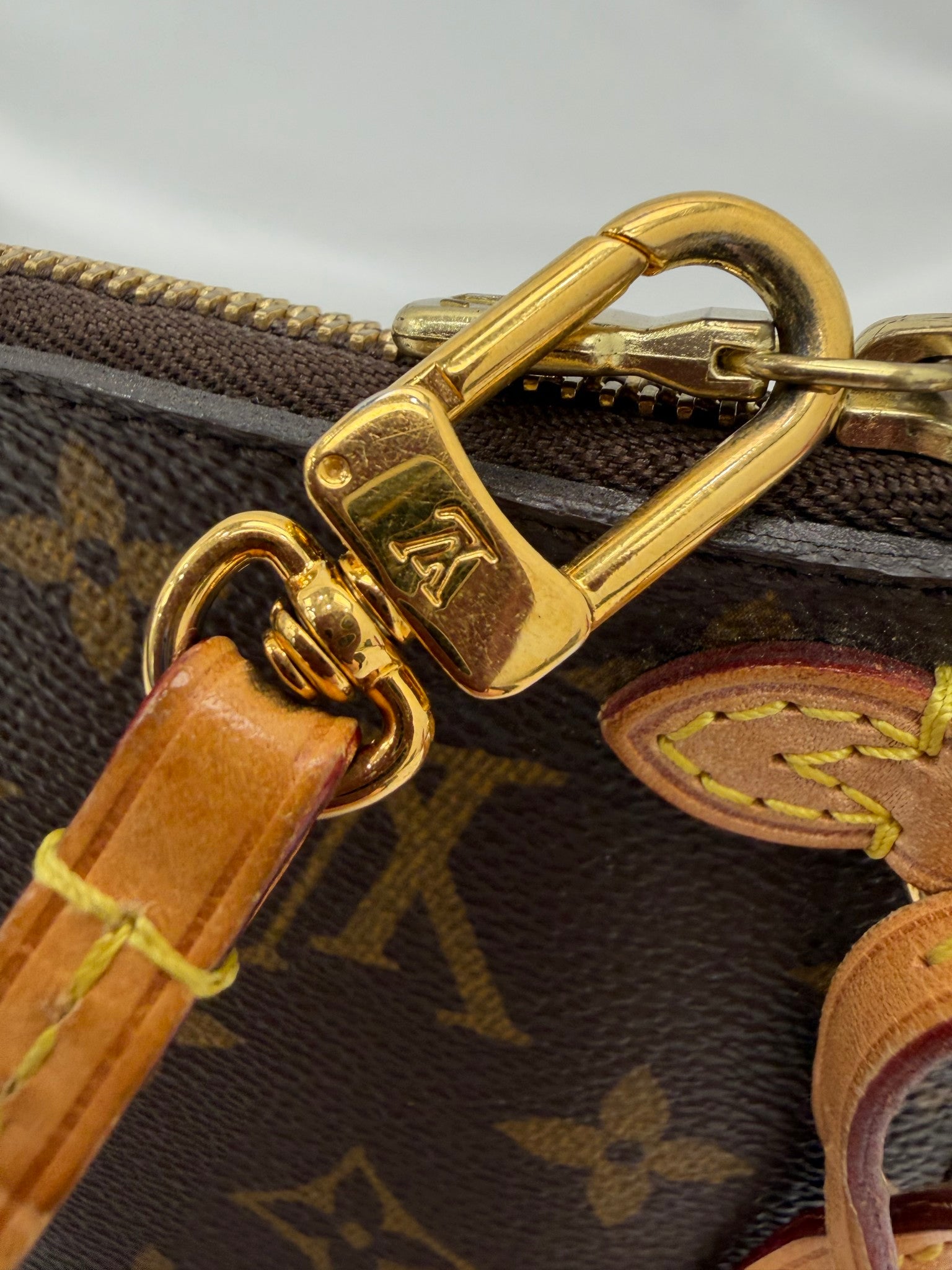 Louis Vuitton Monogram Neverfull Pouch