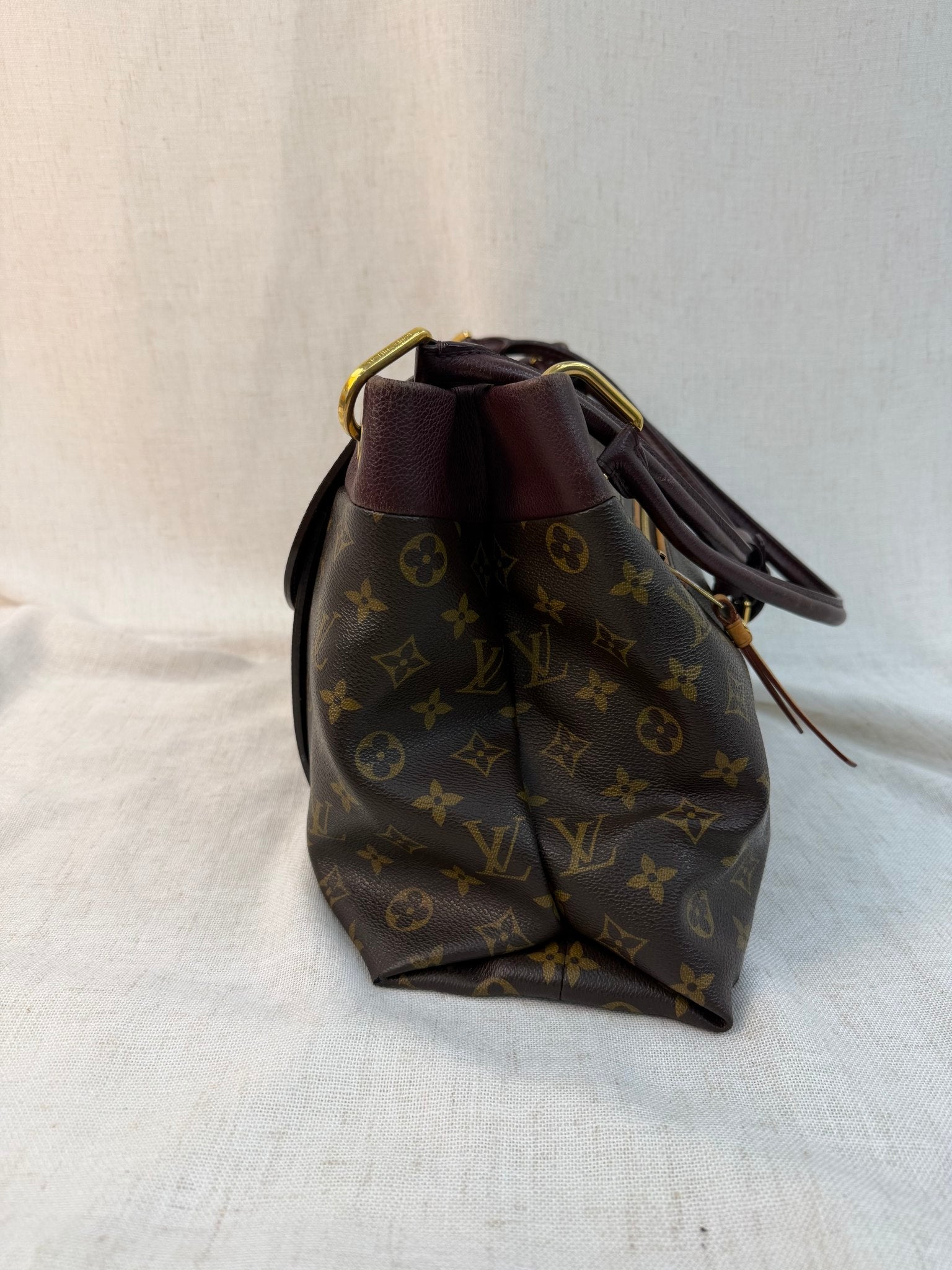 Louis Vuitton Monogram Olympe MM Bag