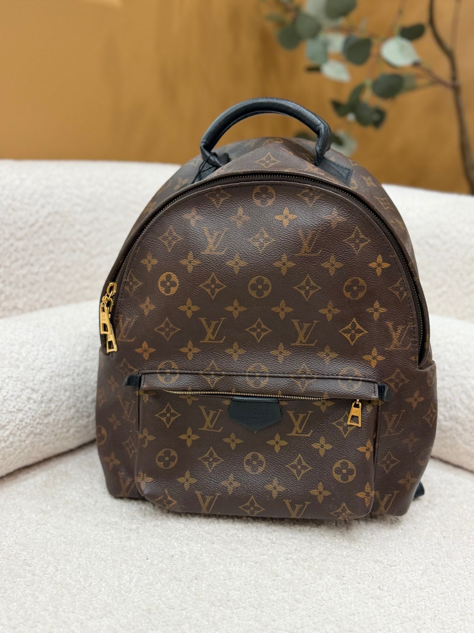 Louis Vuitton Monogram Palm Spring Backpack MM