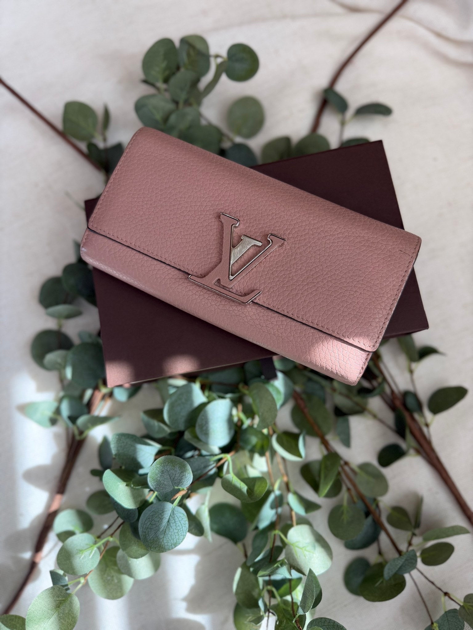 Louis Vuitton Light Pink Leather Capucines Wallet