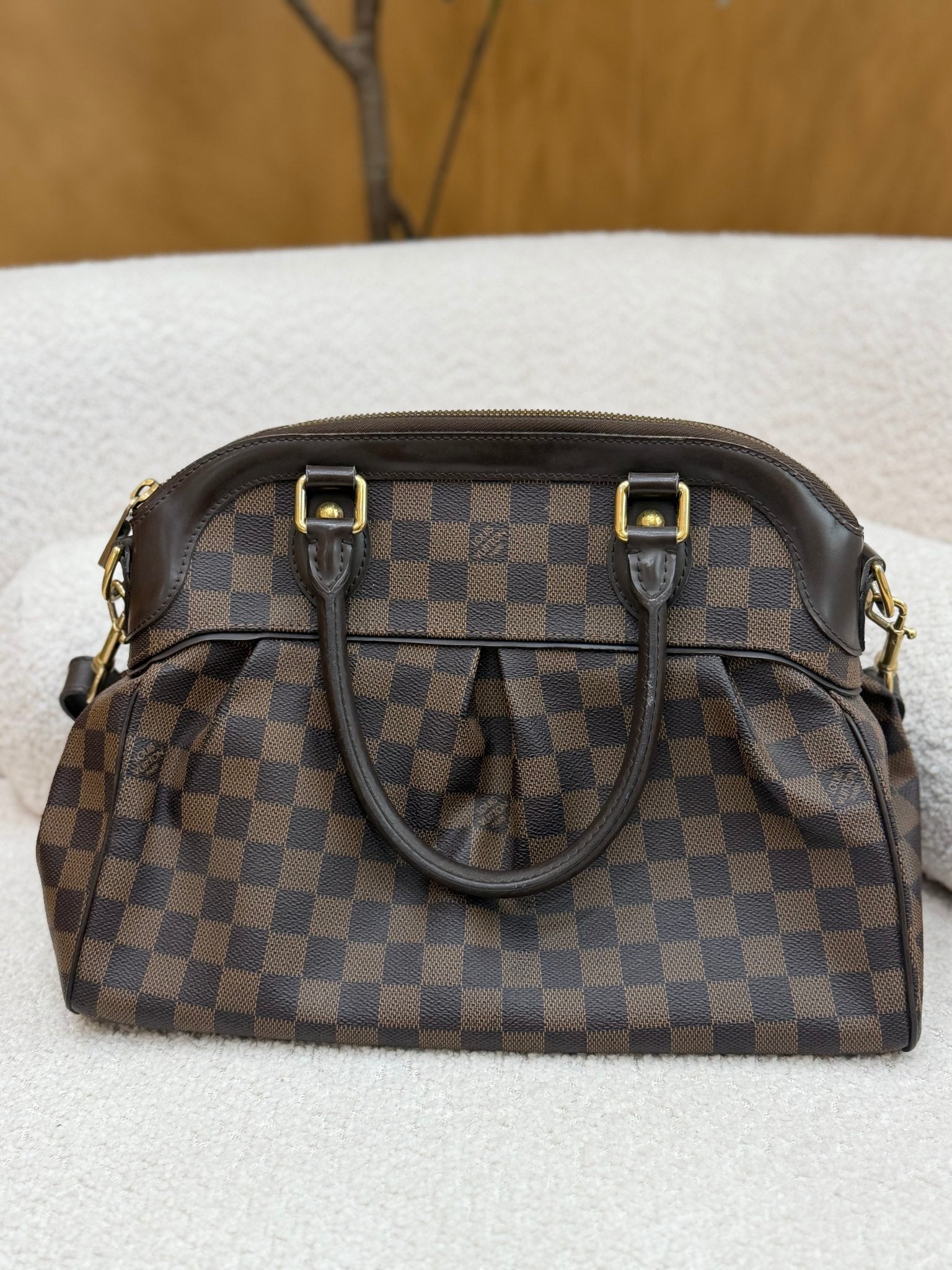 Louis Vuitton Damier Ebene Trevi PM Two Way Bag