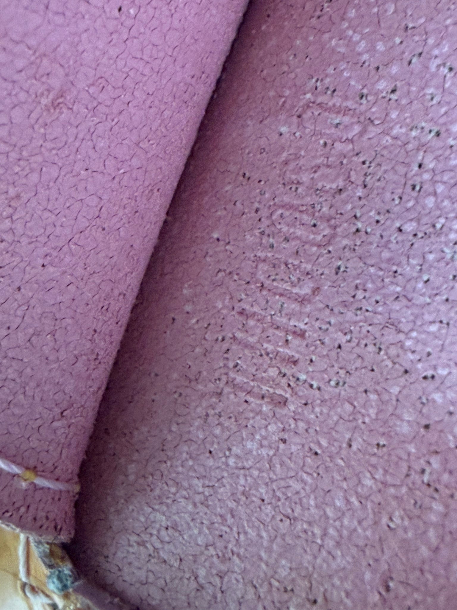 https://res.cloudinary.com/dyql5hig8/image/upload/v1758297895/i8omgxwmsfcwyfd5n9hu.jpg