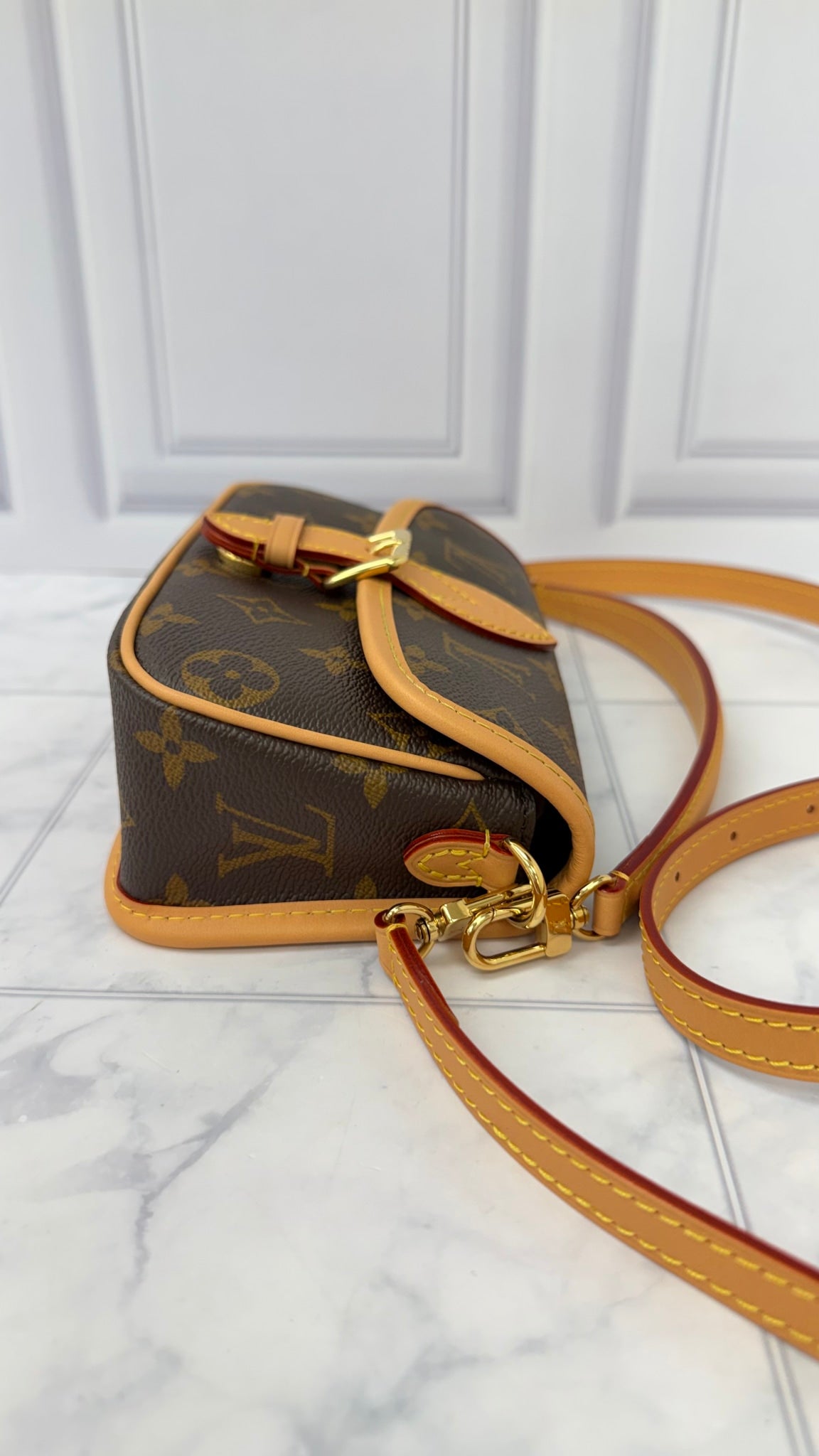 BRAND NEW - Louis Vuitton Monogram Nano Diane Crossbody Bag 