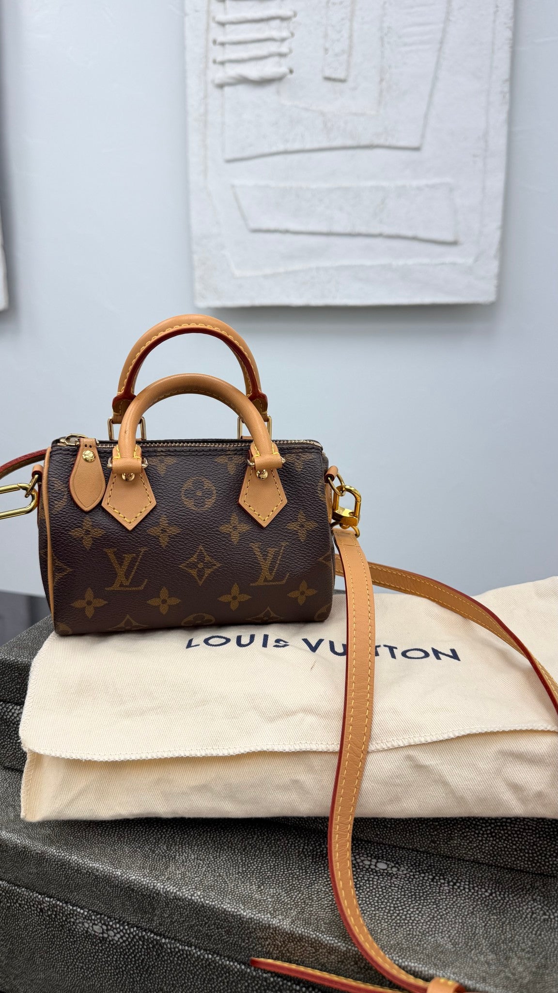 Louis Vuitton Monogram Nano Speedy 