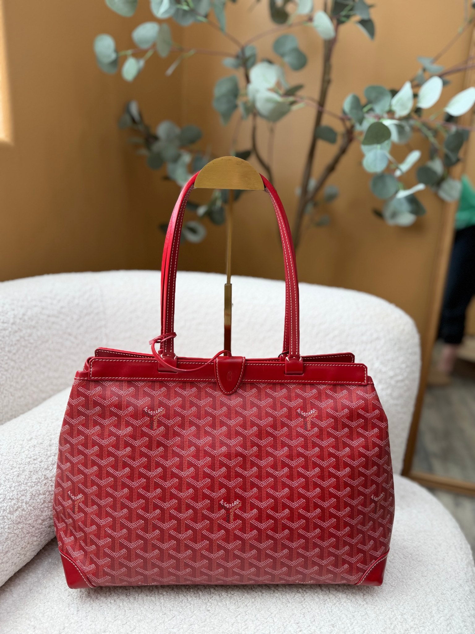 Goyard Red Goyardine Leather Bellechasse Biaude PM Bag