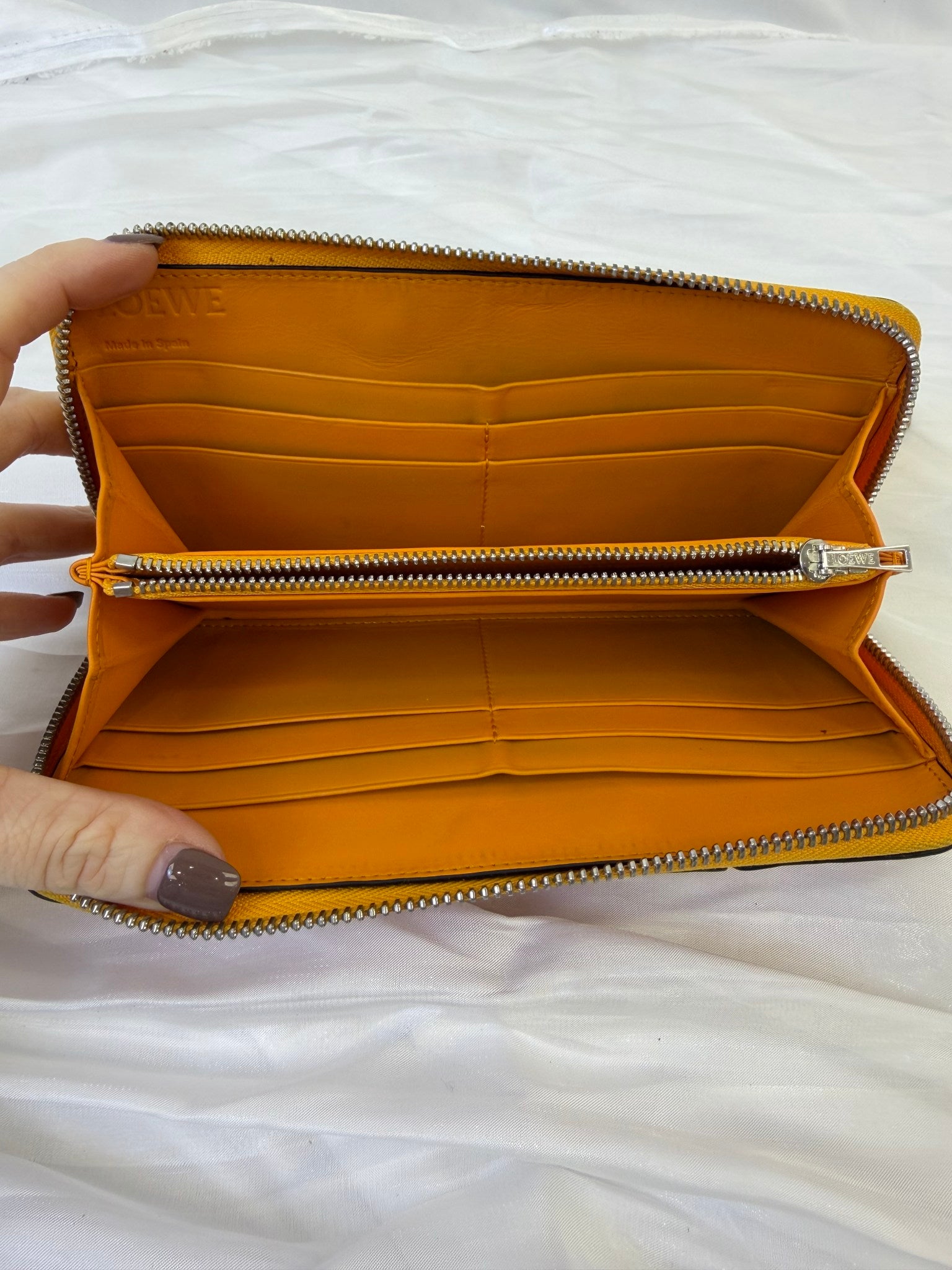 Loewe Tricolor Leather Long Zippy Wallet