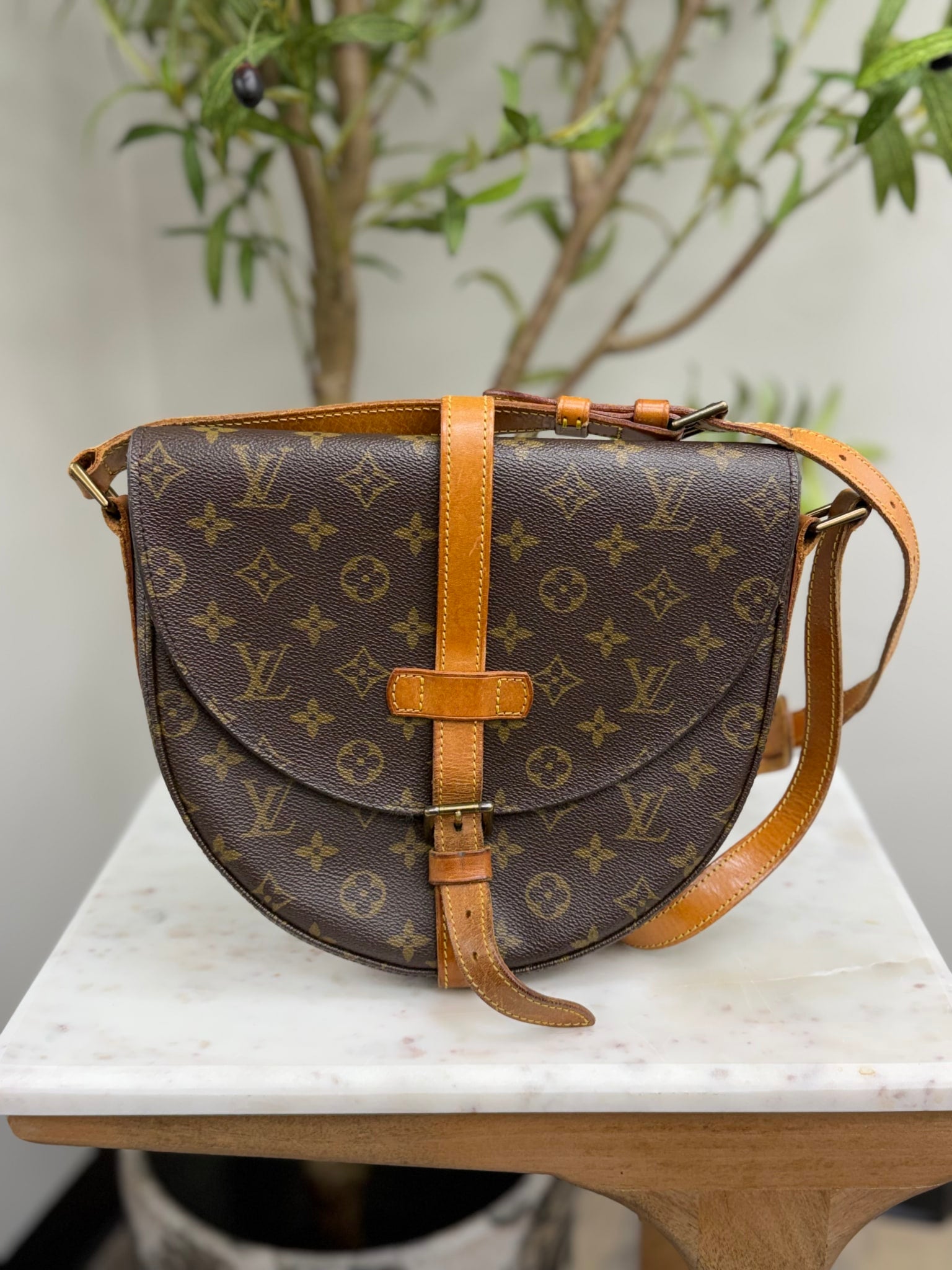 Louis Vuitton Monogram Chantilly GM Bag