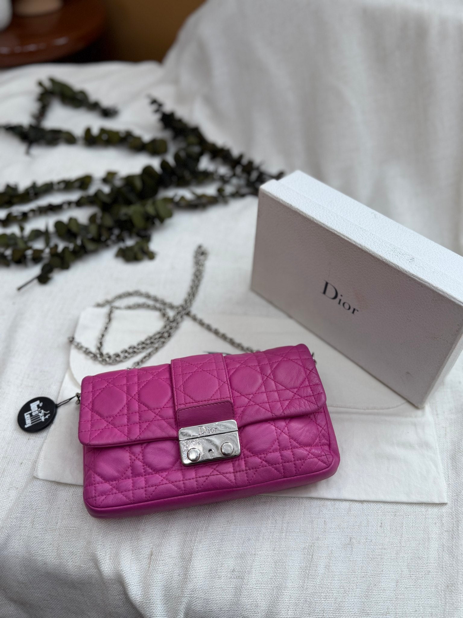 Christian Dior Pink Cannage Lether Diorama Crossbody