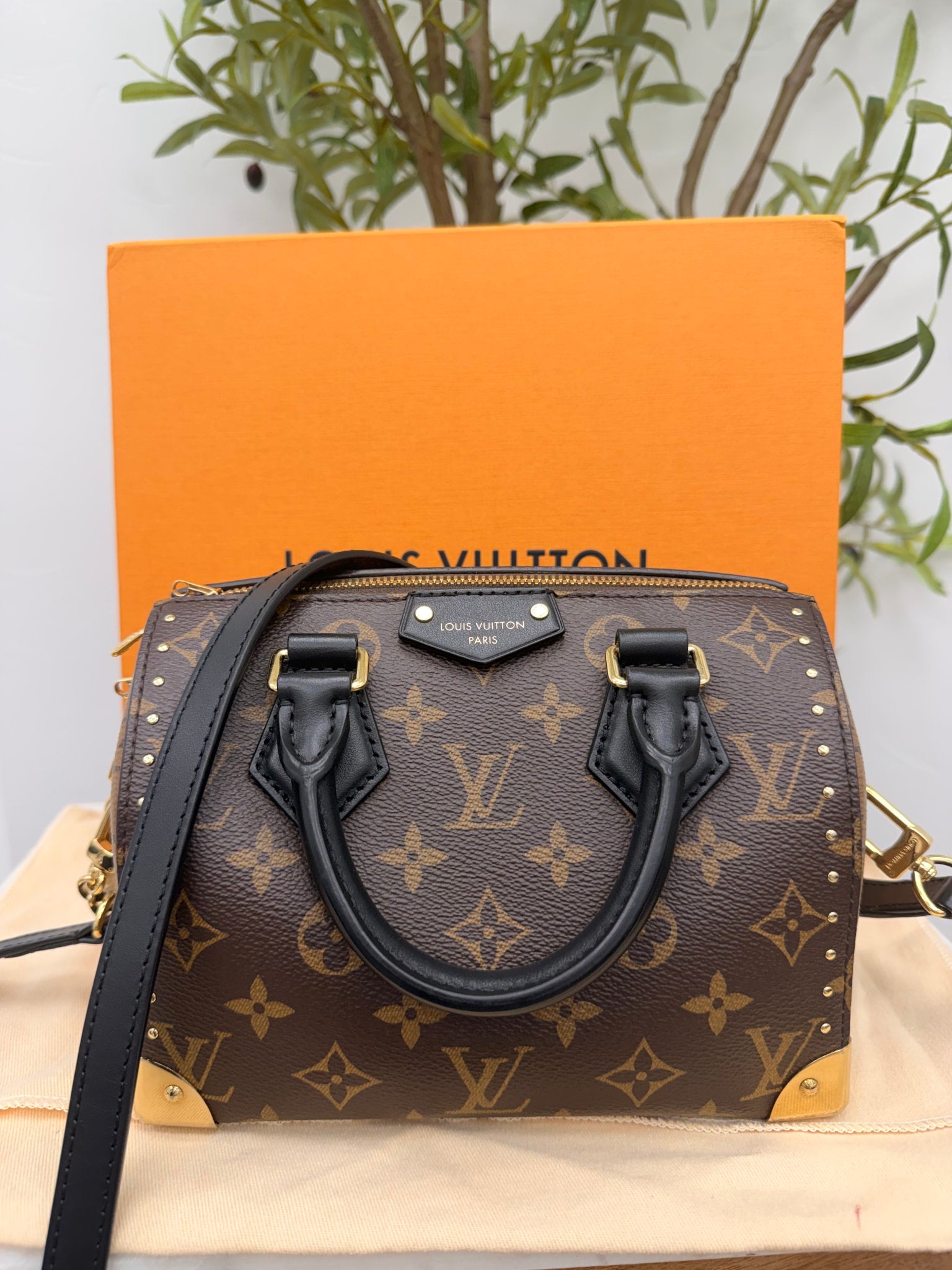 Louis Vuitton Monogram Speedy Trunk 20