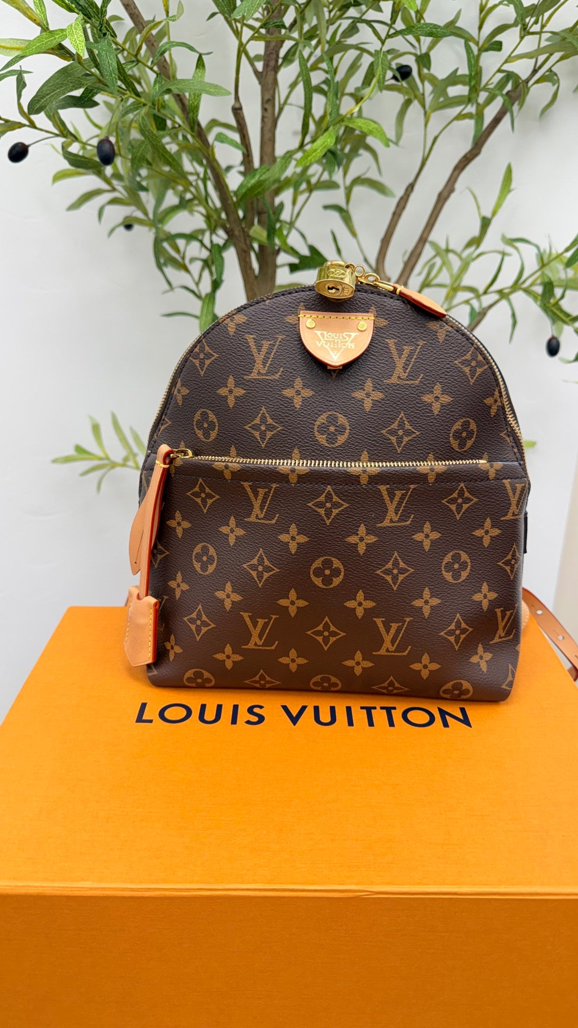 LIKE NEW - Louis Vuitton Monogram Moon Backpack 