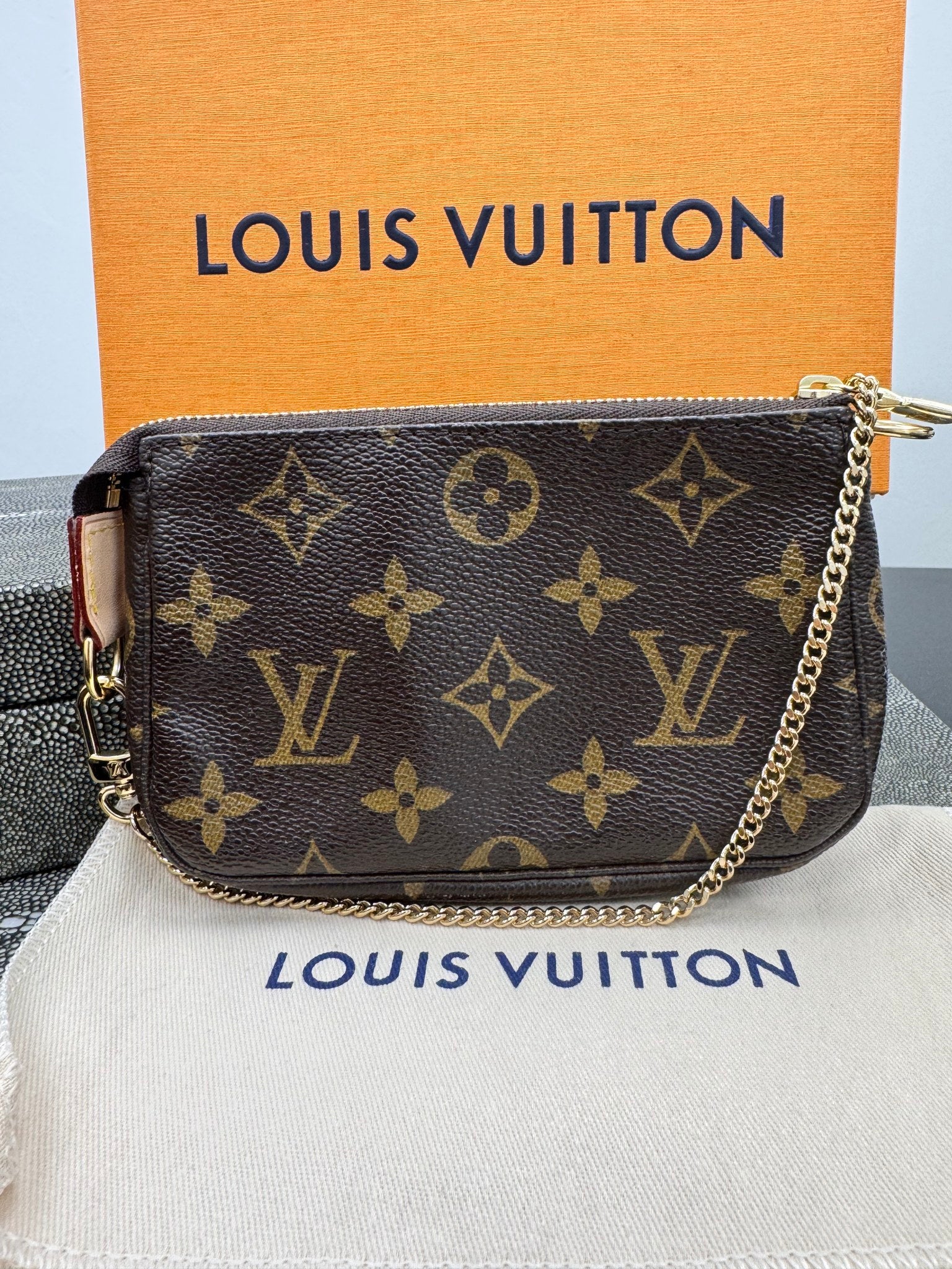 Louis Vuitton Monogram Limited Edition “Trunks & Bags” Mini Pochette