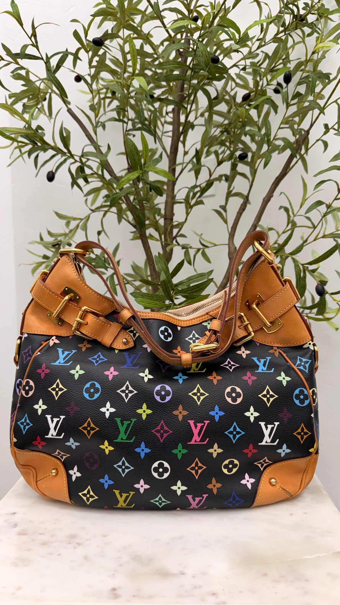 Louis Vuitton × Takashi Murakami Black Monogram Multicolor Greta Hobo Bag