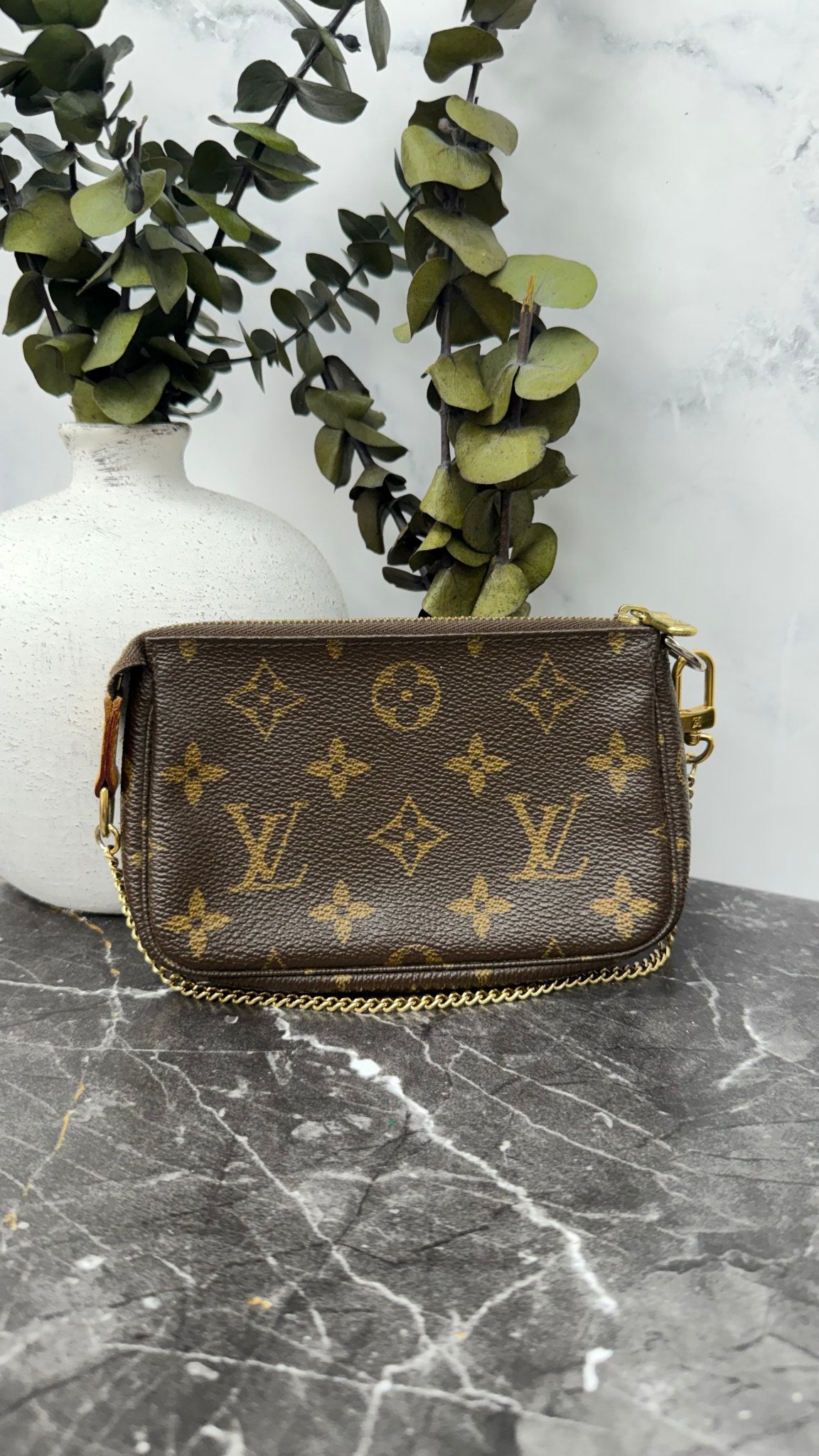 Louis Vuitton Monogram Mini Pochette Accessoires