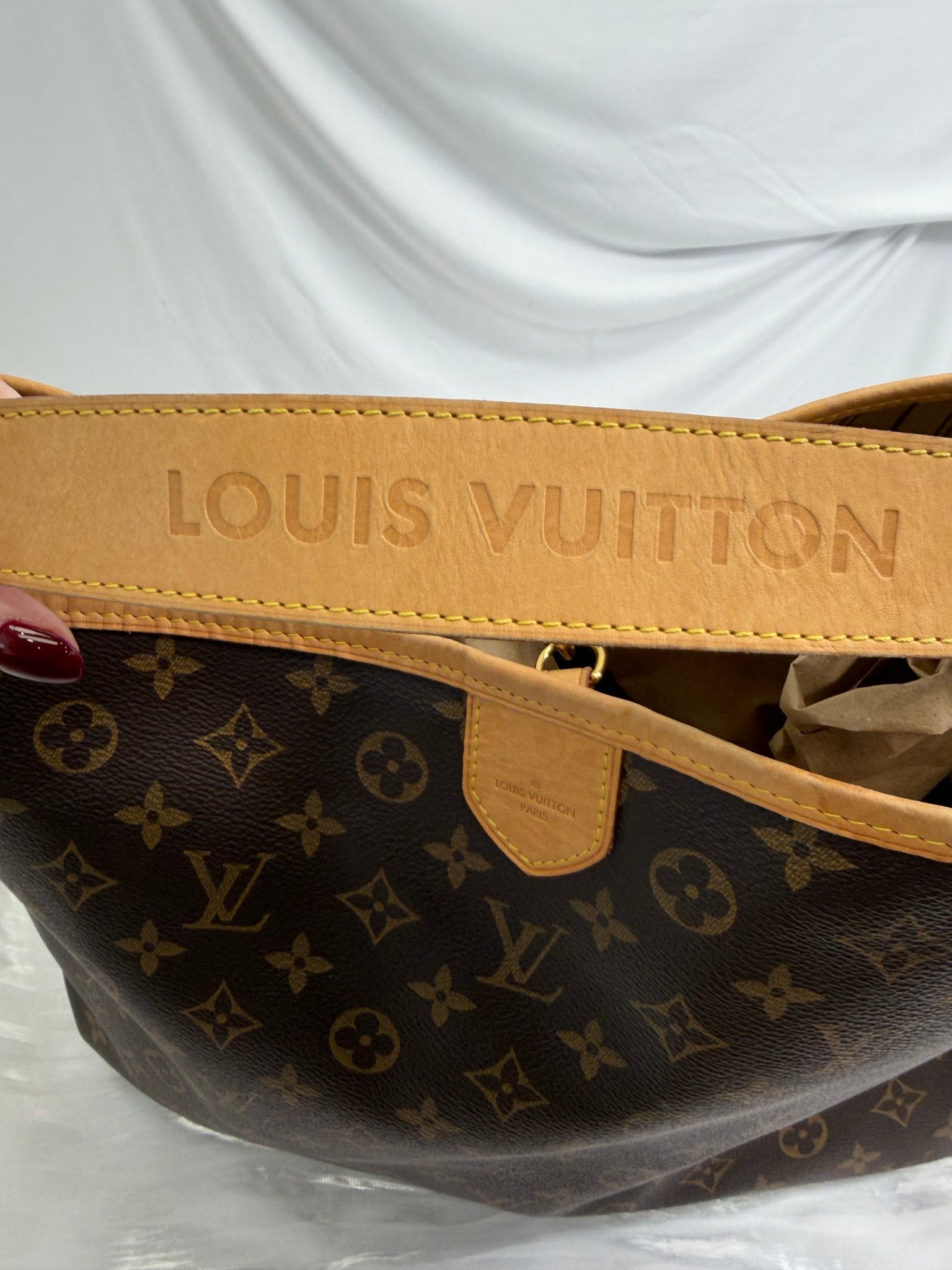 Louis Vuitton Monogram Delightful MM 