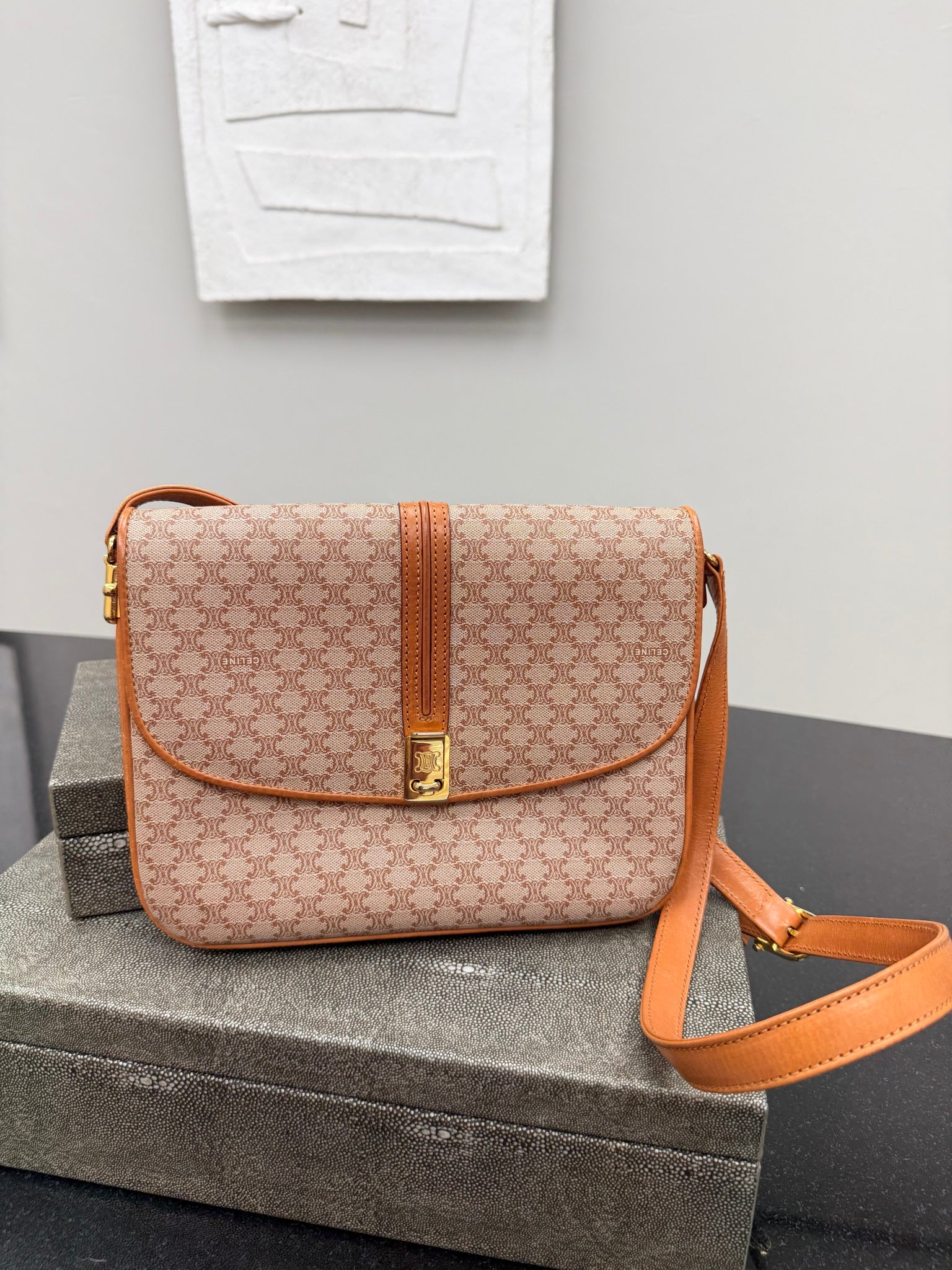 Celine Beige Macadam Canvas Shoulder Bag 