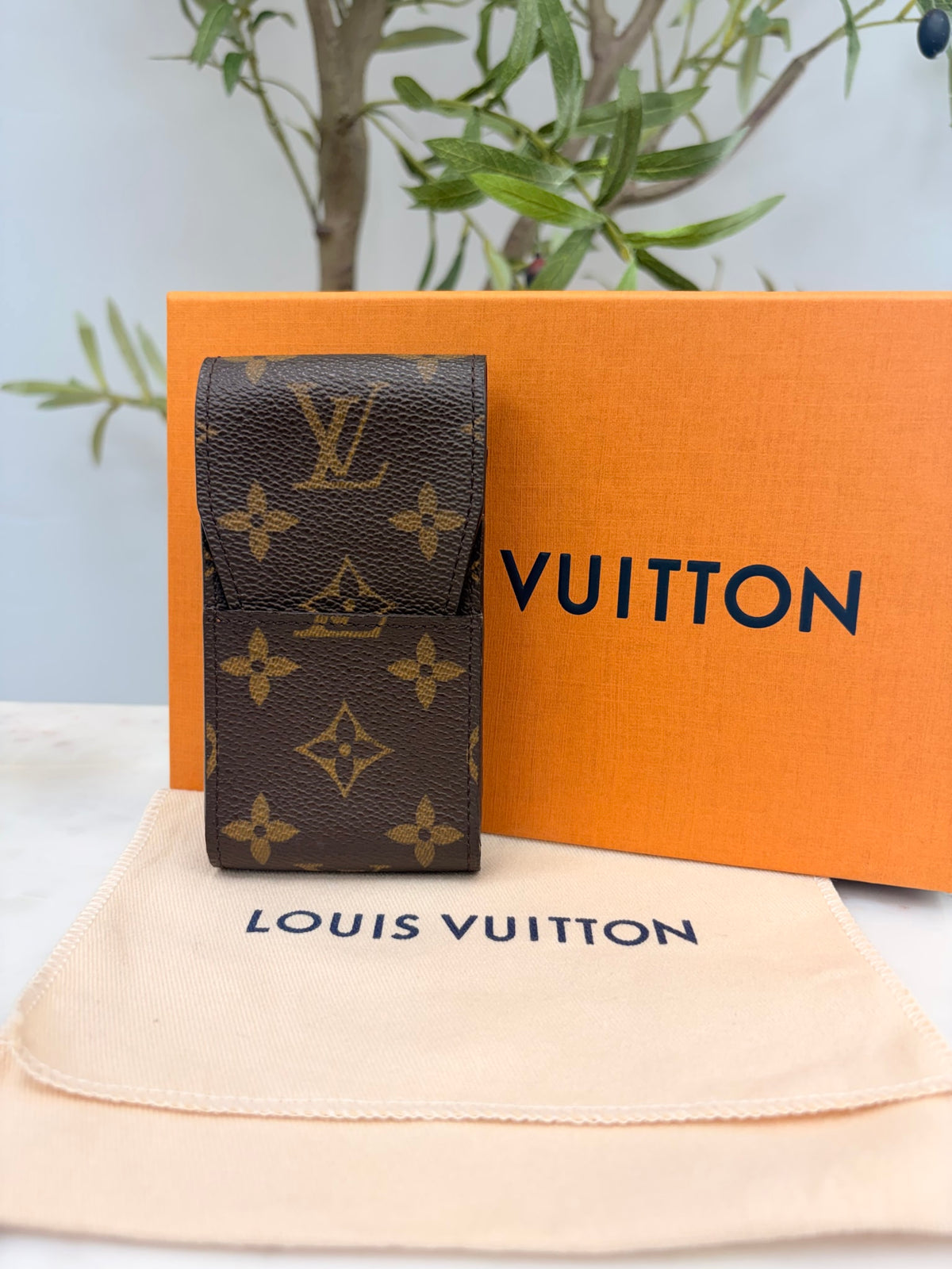 Louis Vuitton Monogram Case