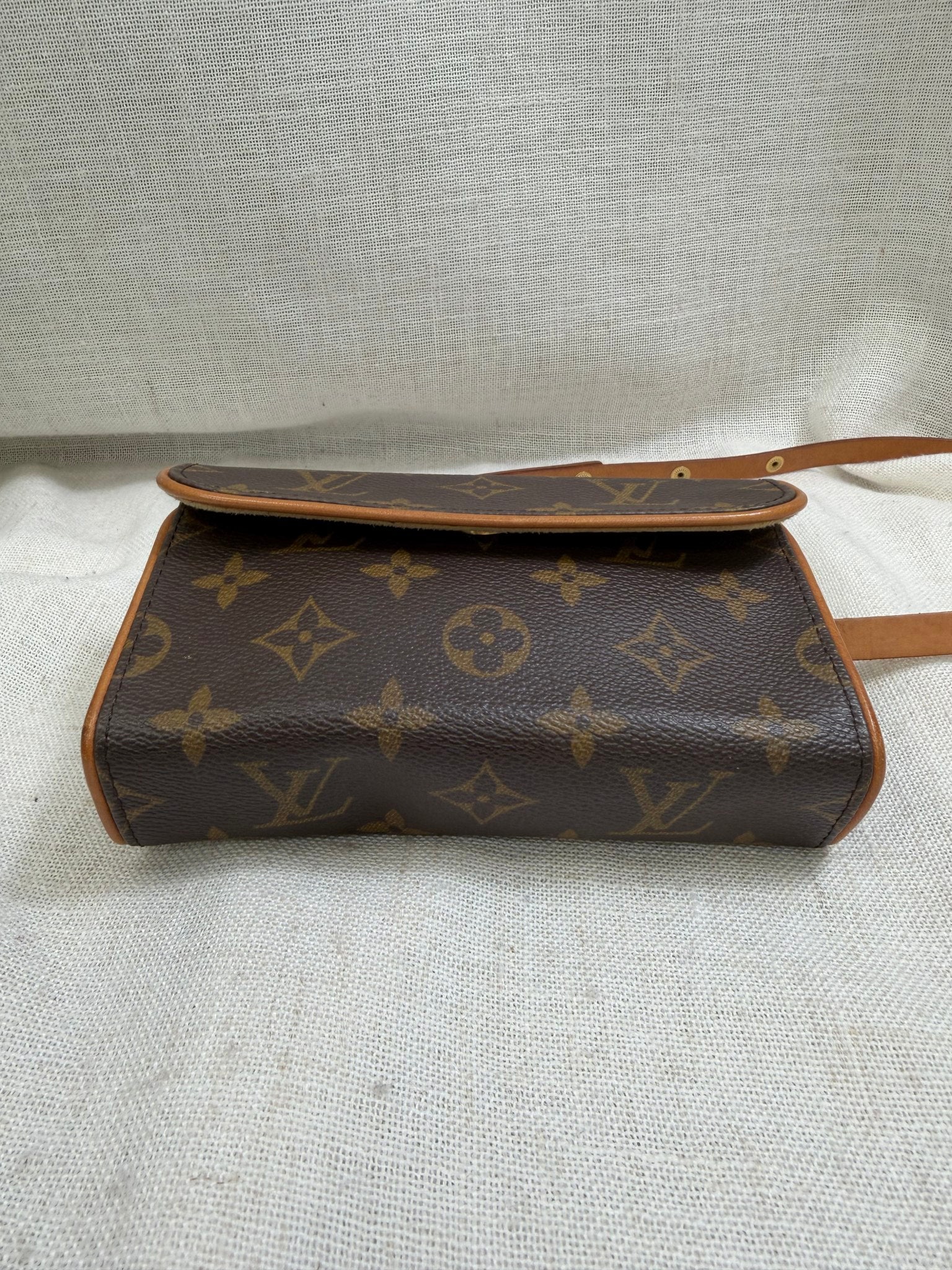 Louis Vuitton Monogram Pochette Florentine Belt Bag