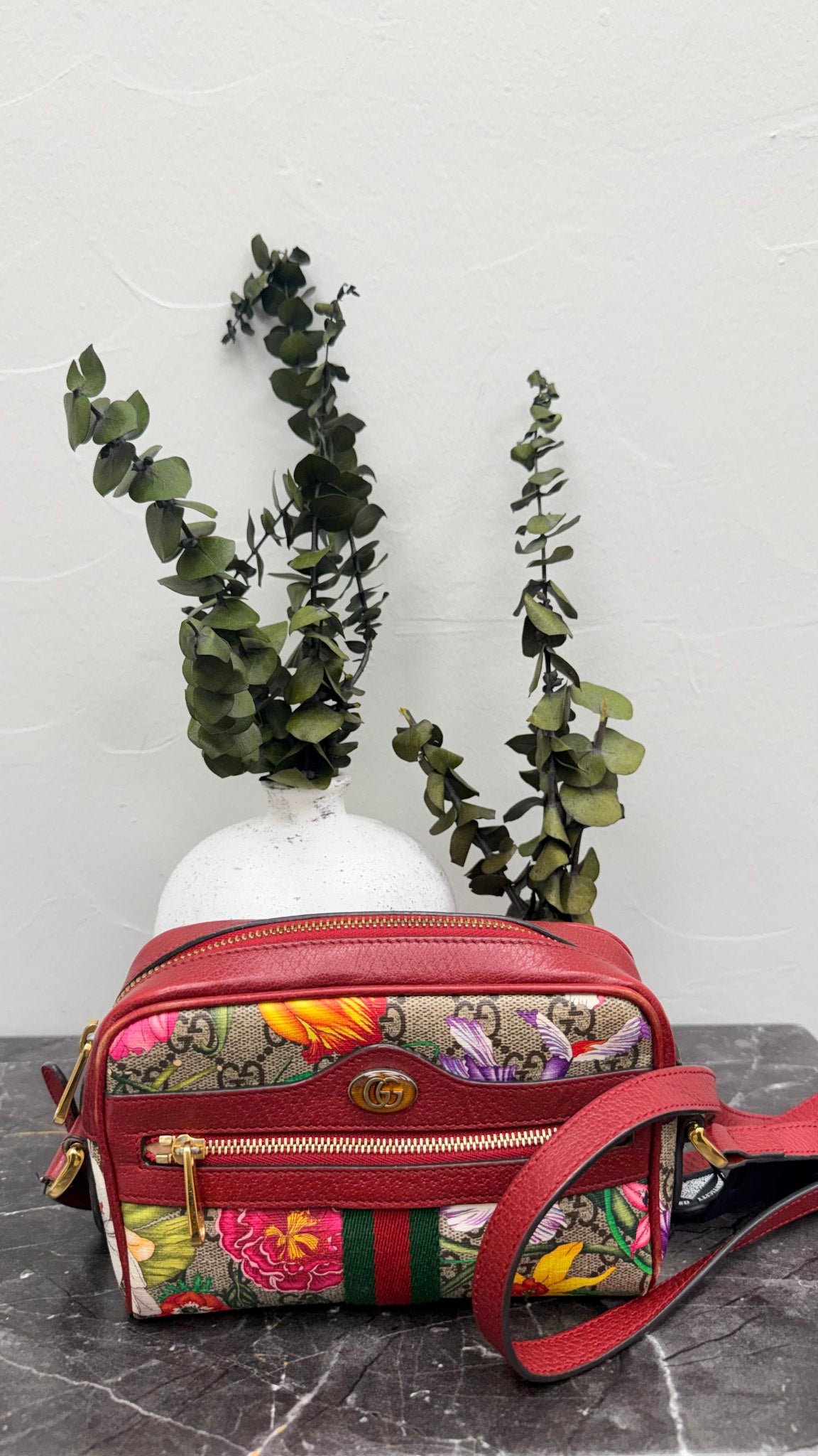 Gucci GG Supreme Red Ophidia Mini Camera Bag 