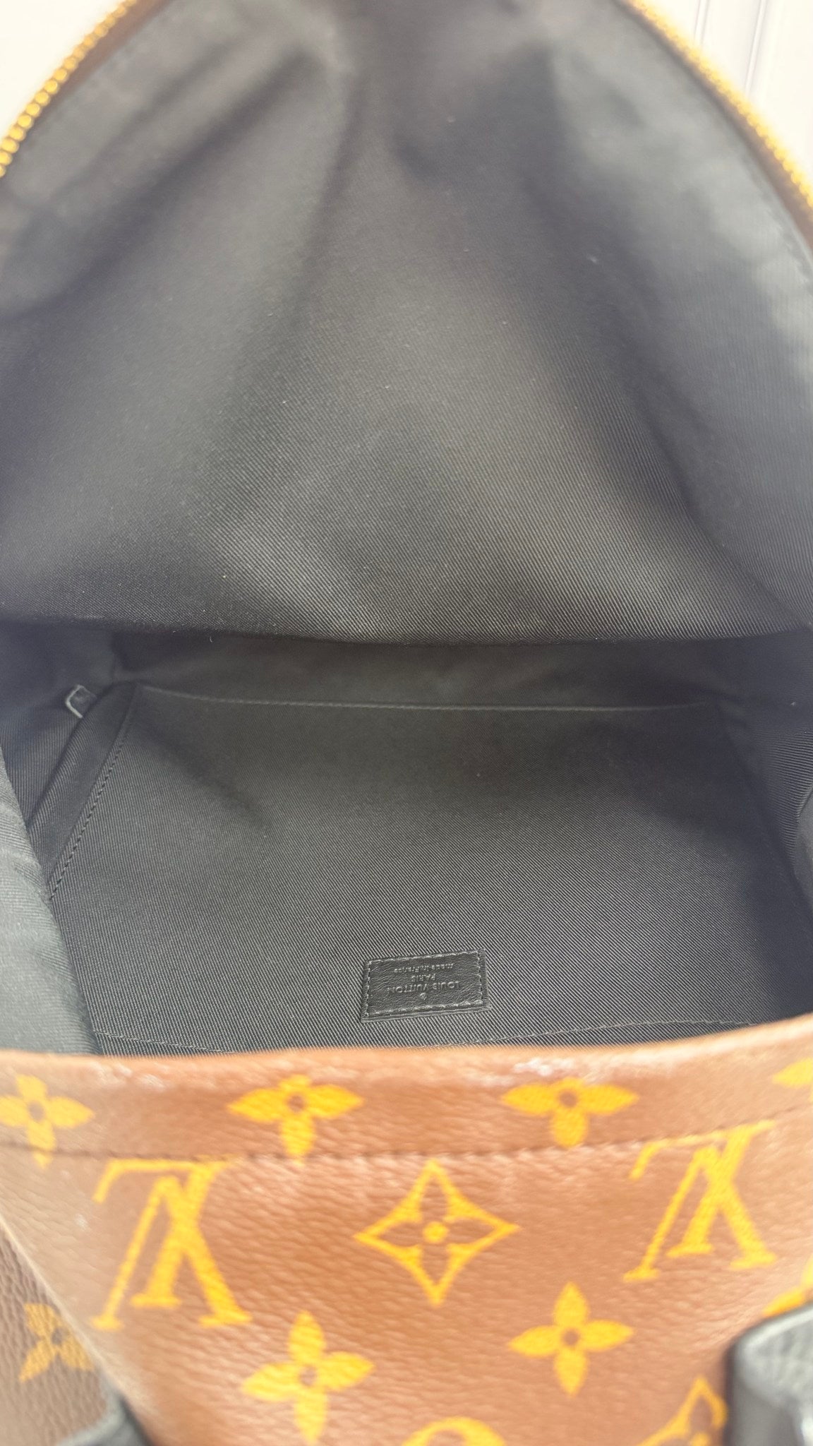 Louis Vuitton Monogram Palm Springs MM Backpack 