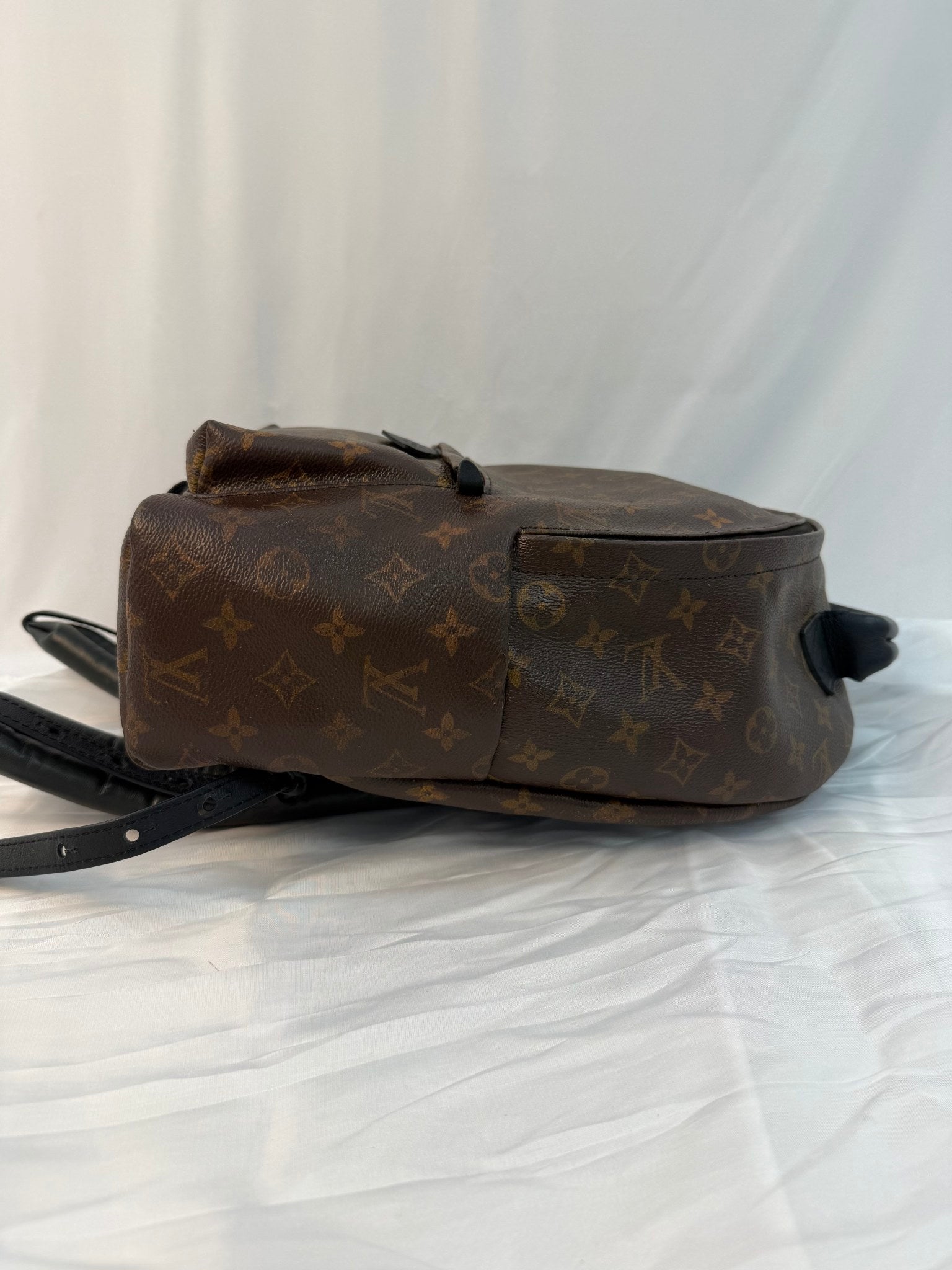 Louis Vuitton Monogram Palm Spring Backpack MM