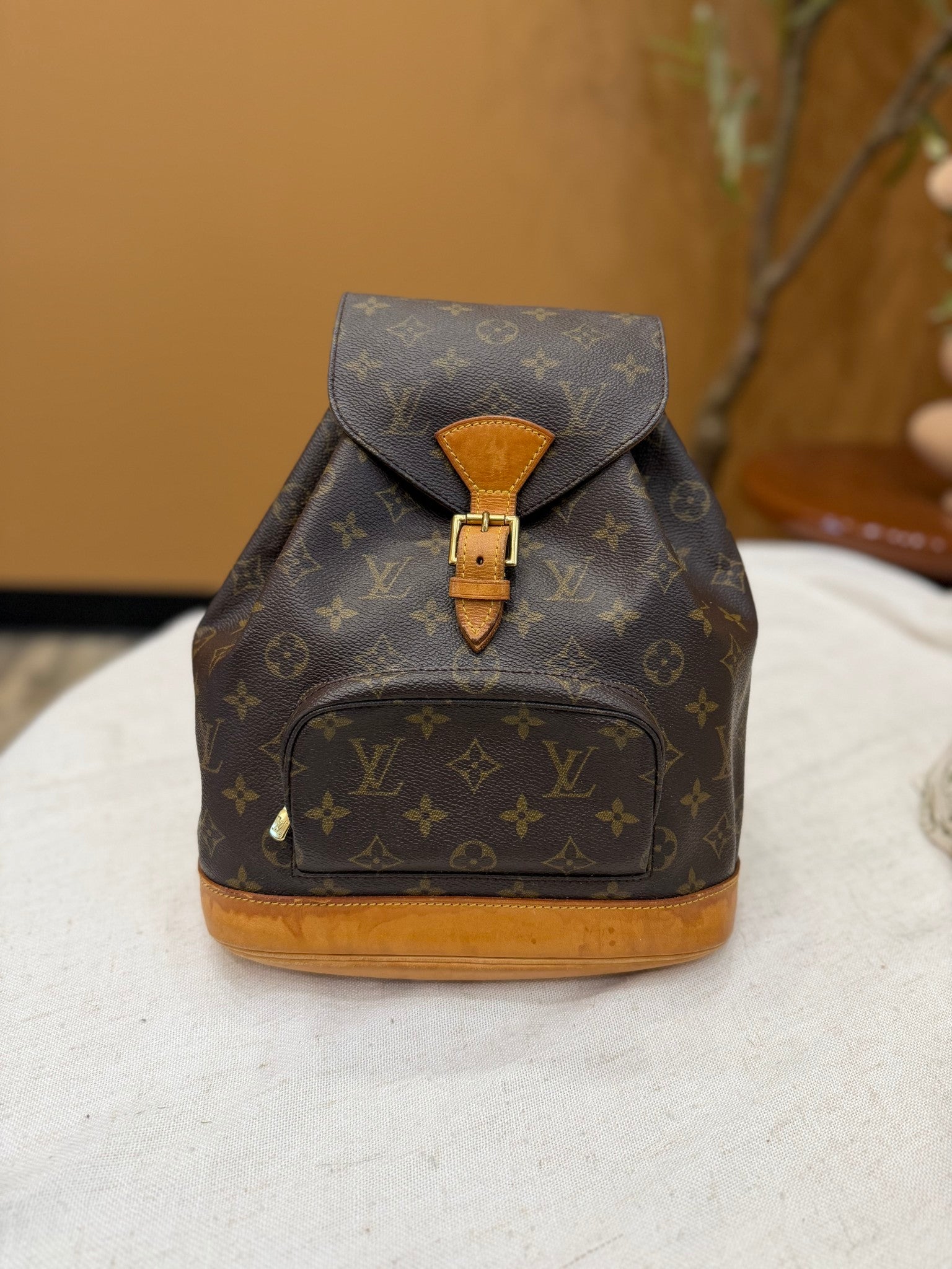 Louis Vuitton Monogram Montsouris MM Backpack