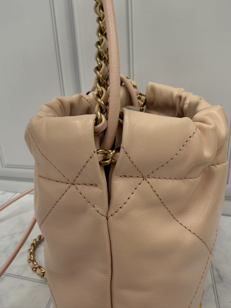 Chanel Pale Pink Quilted Leather 22 Hobo Crossbody