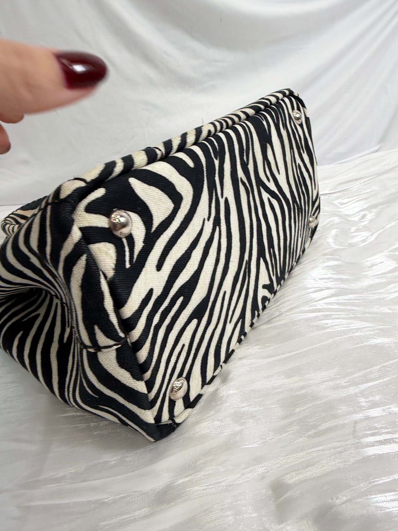 Prada Zebra Print Canvas Small Canapa Bag