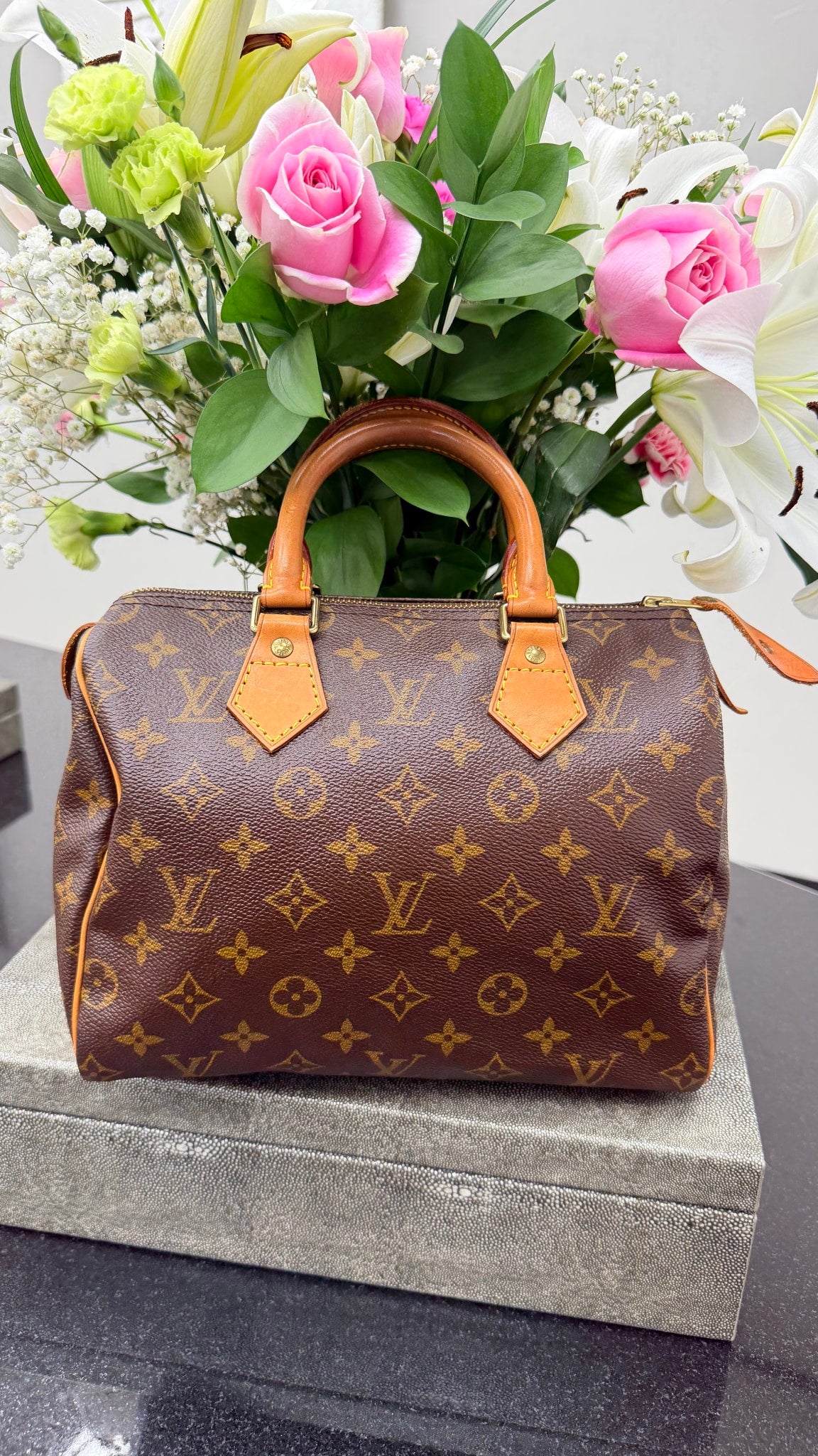 Louis Vuitton Monogram Speedy 25 