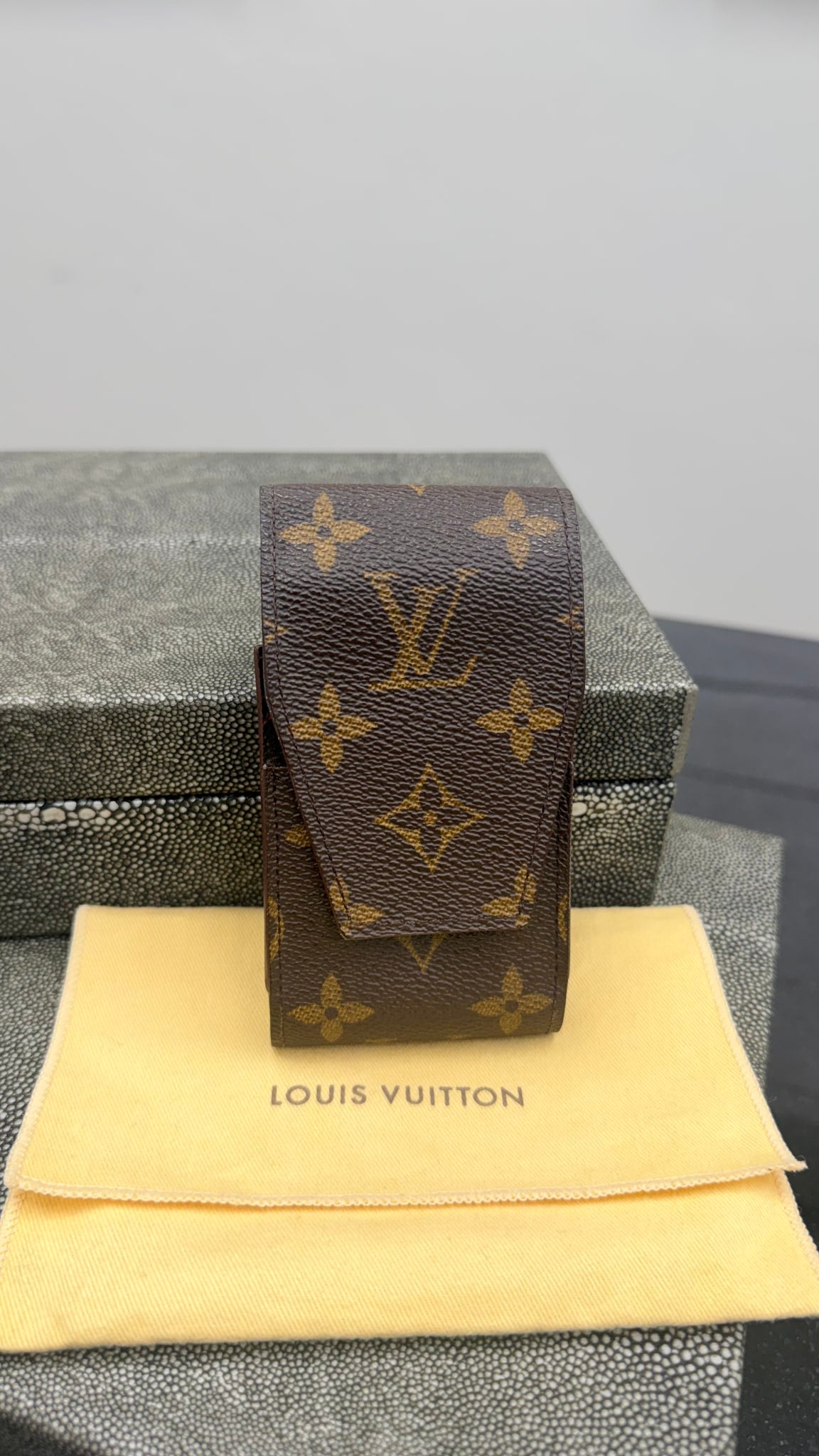 Louis Vuitton Monogram Case