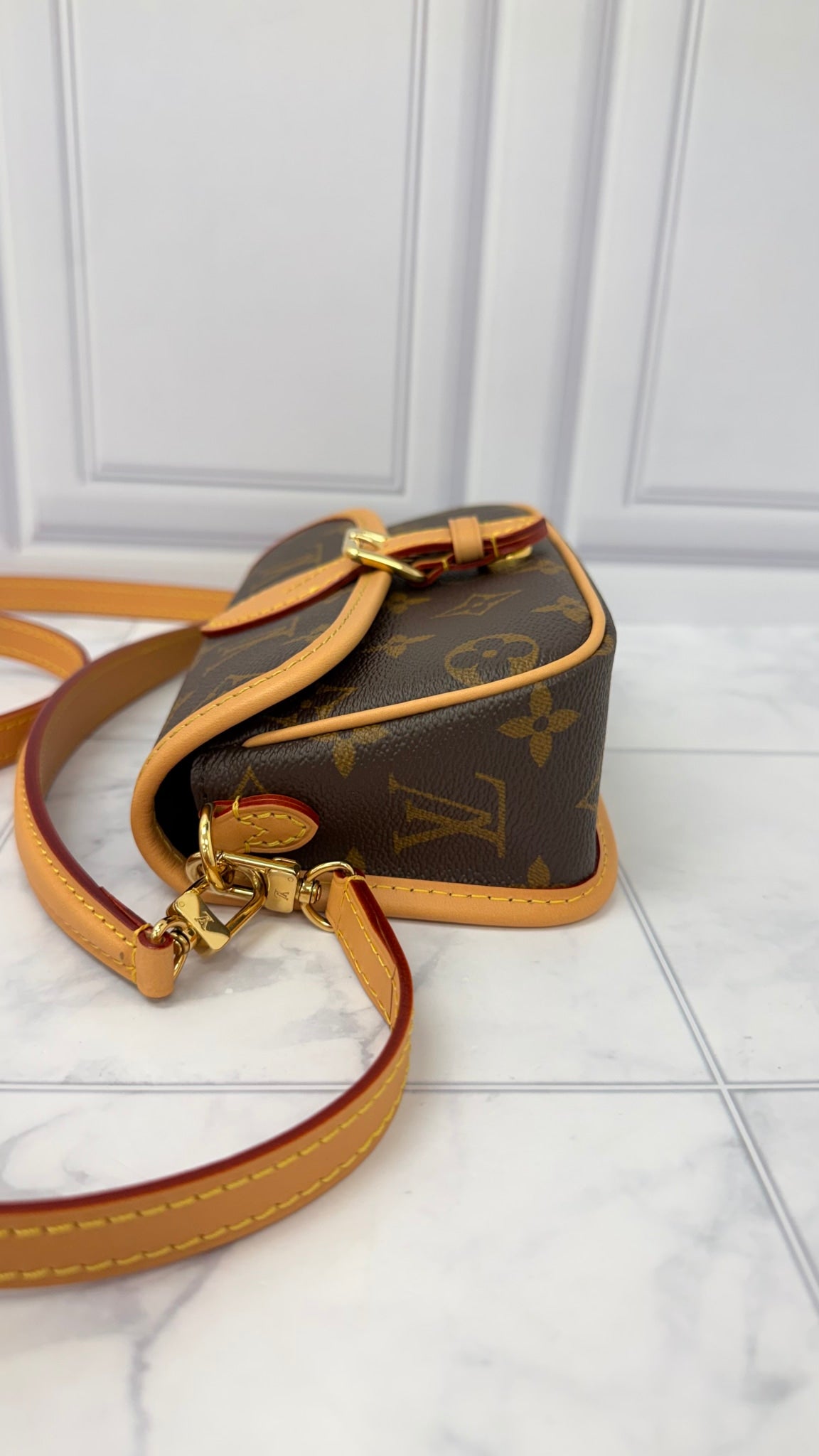 BRAND NEW - Louis Vuitton Monogram Nano Diane Crossbody Bag 