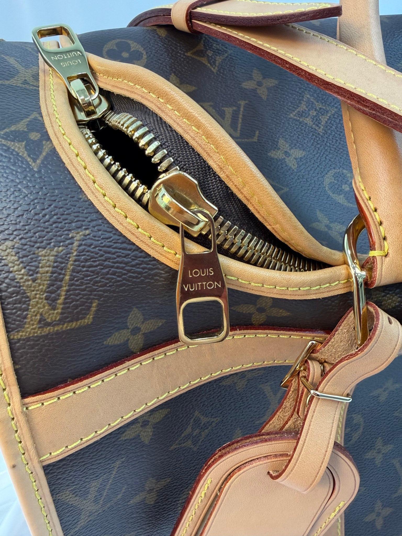 Louis Vuitton Monogram Pet Bag