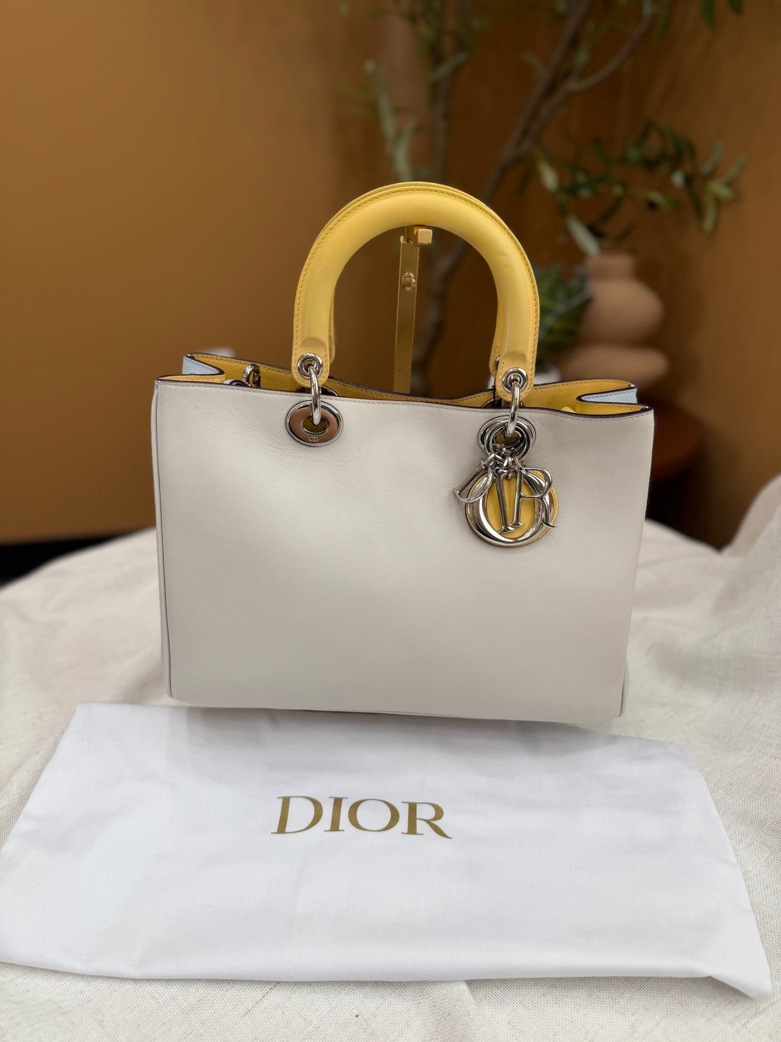 Christian Dior Multicolor Leather Diorissimo Medium Tote Bag