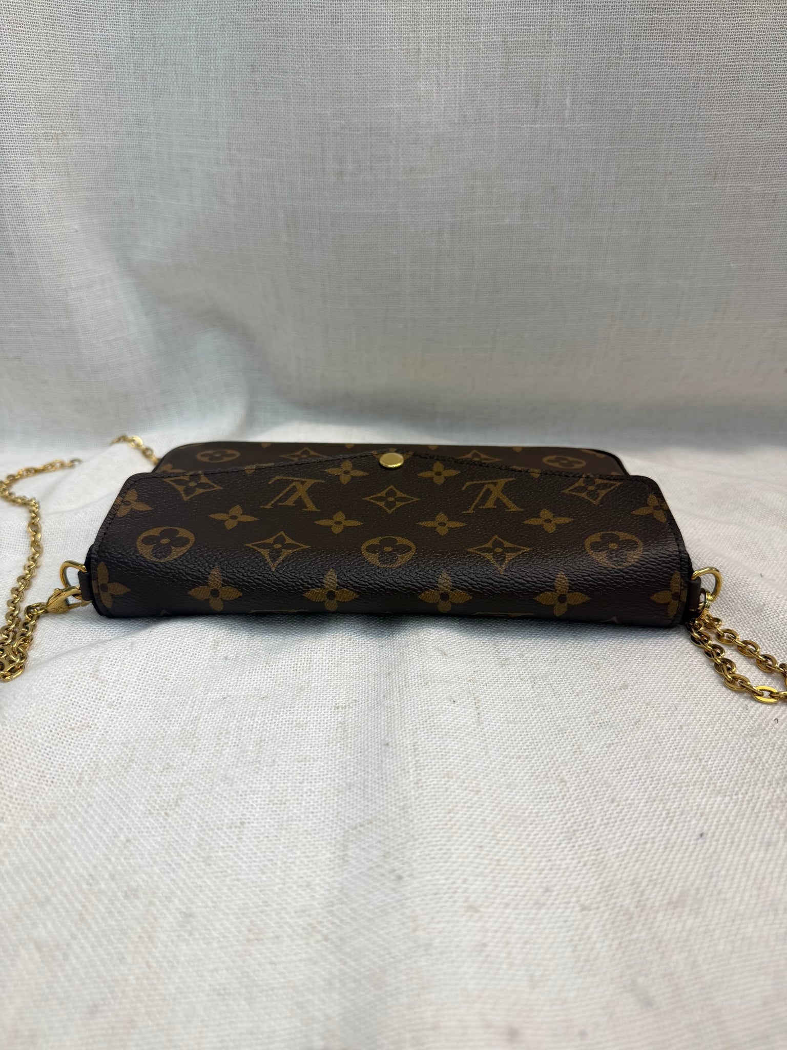 Louis Vuitton Monogram Felicie Pochette Bag