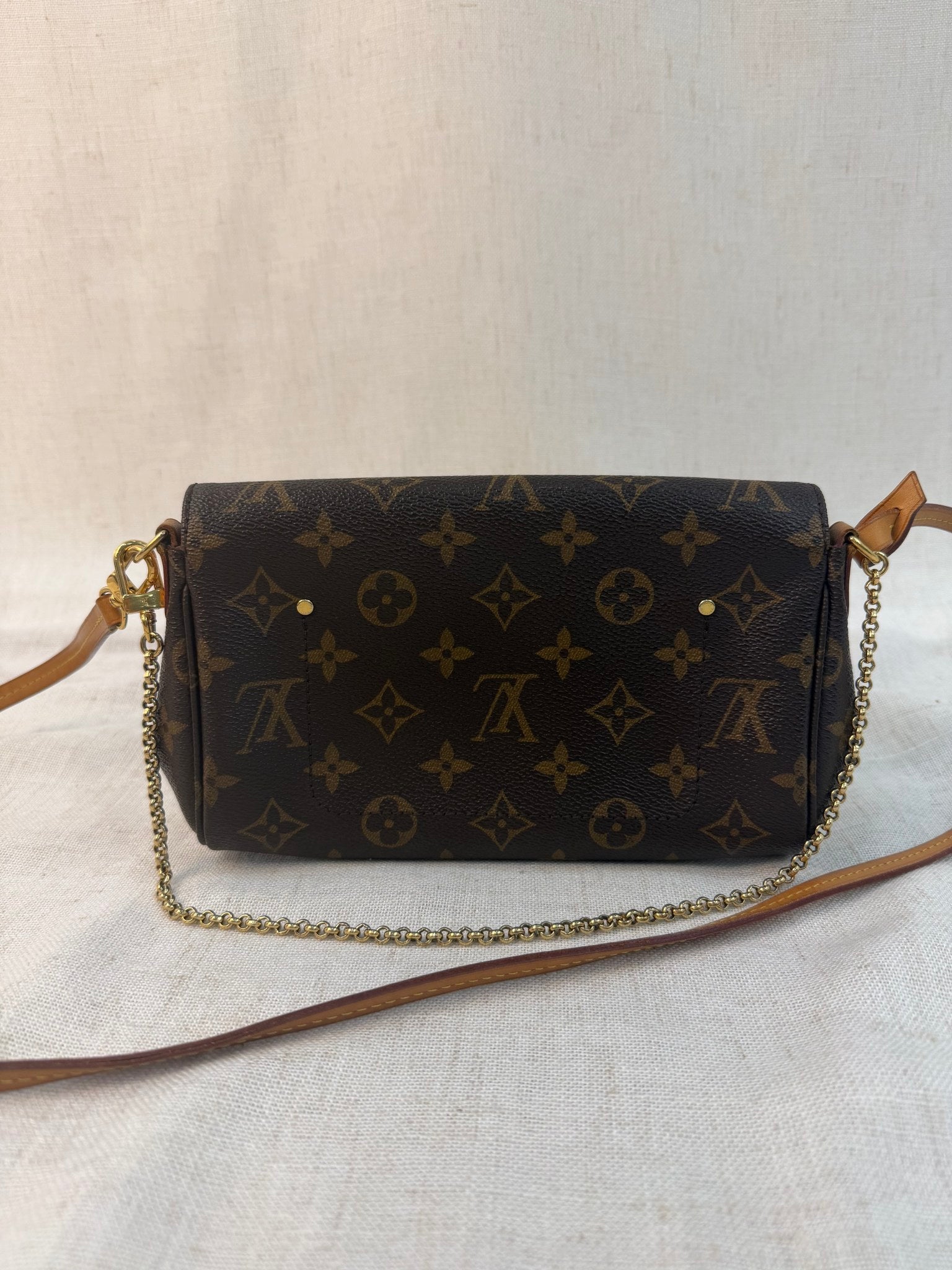 Louis Vuitton Monogram Favorite PM Bag