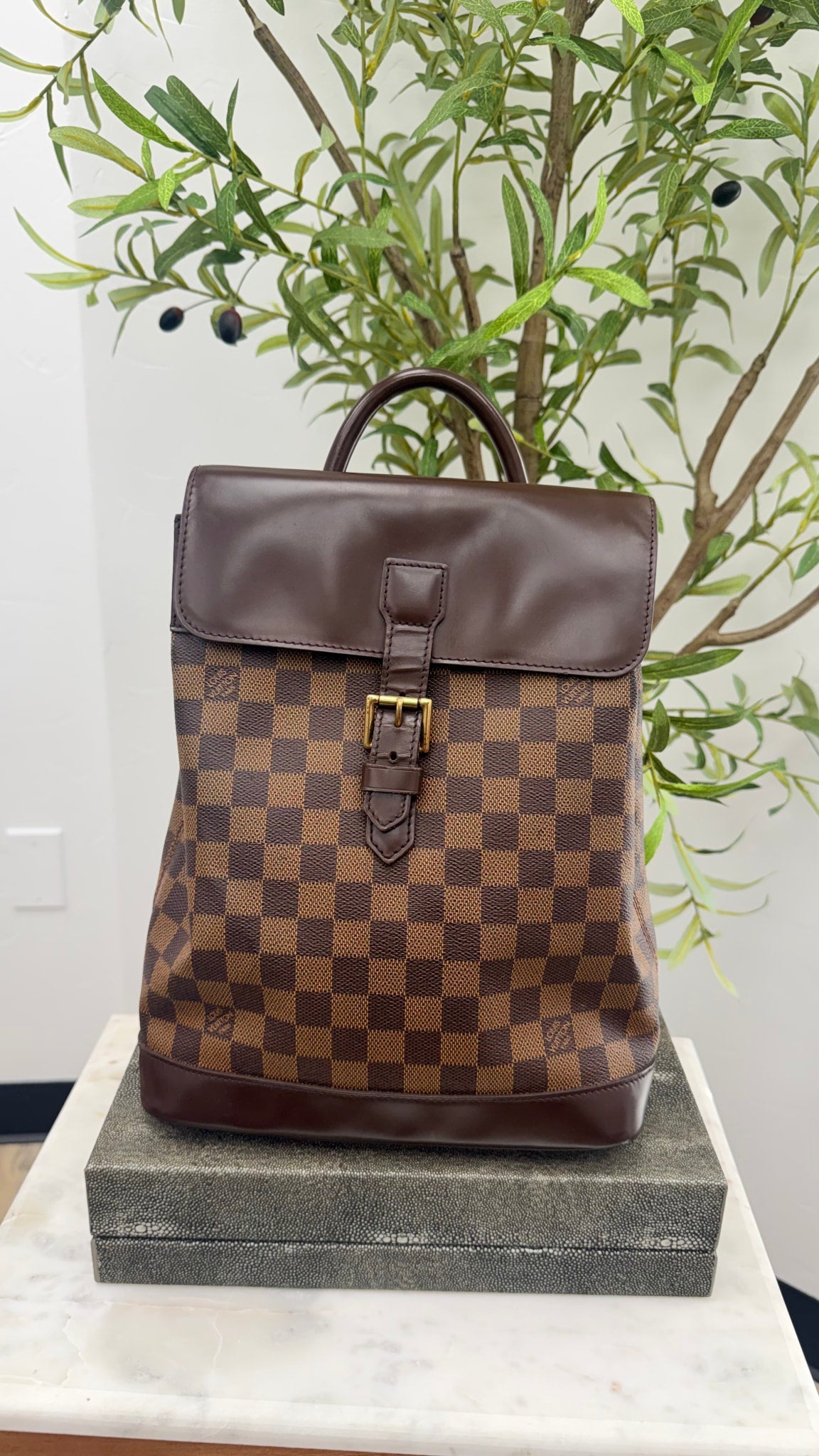 Louis Vuitton Damier Ebene Backpack 