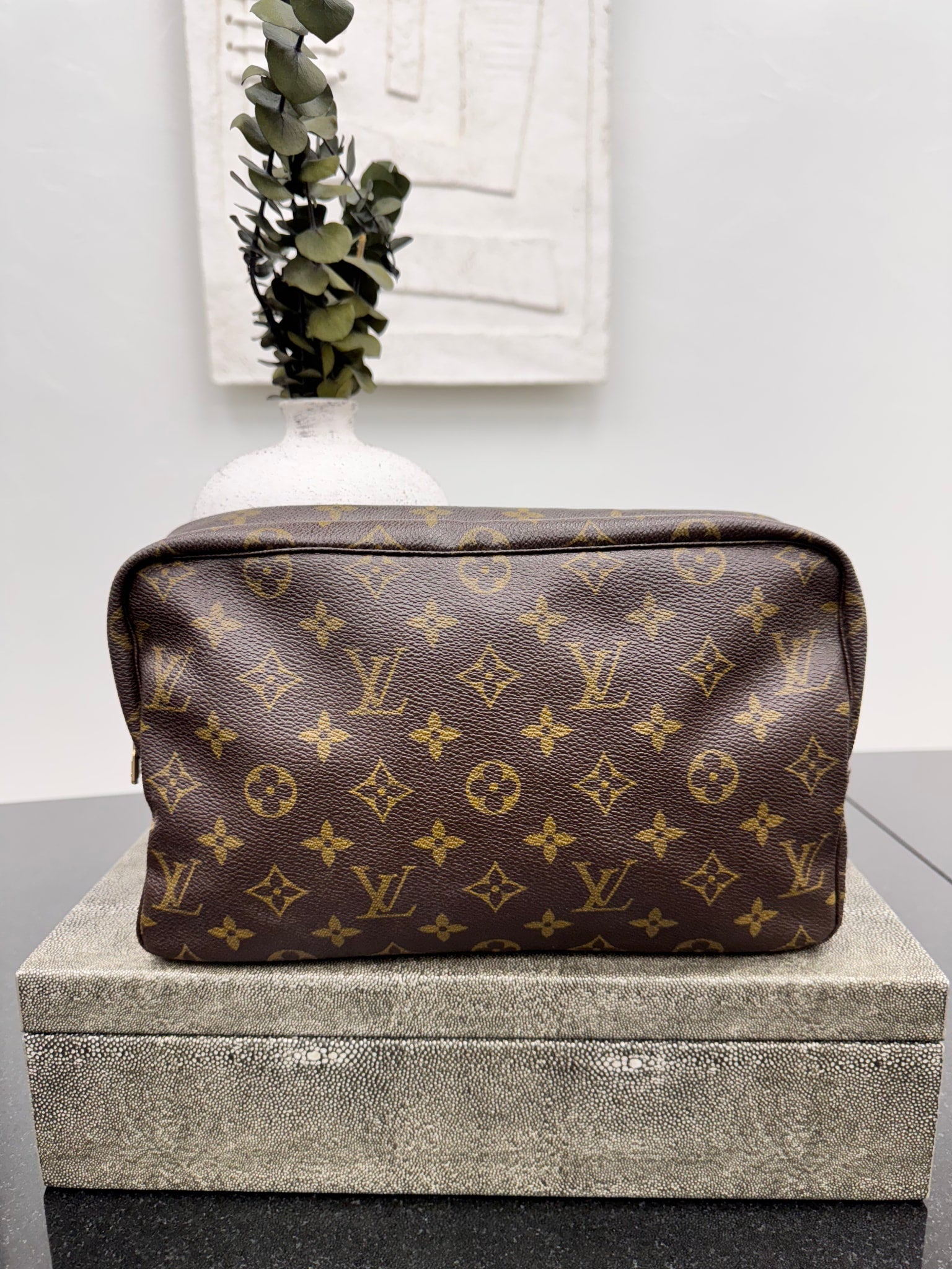 Louis Vuitton Monogram Trousse Toiletries 28