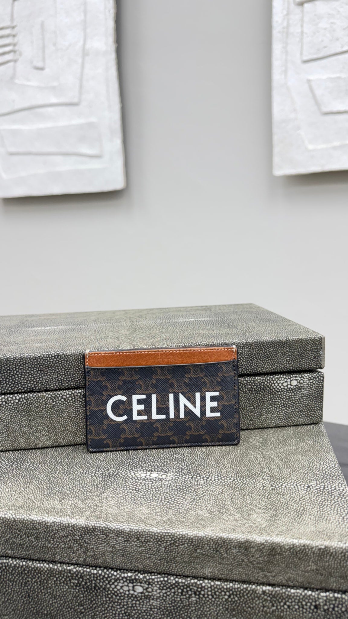 Celine Brown Triomphe Canvas Card Case 