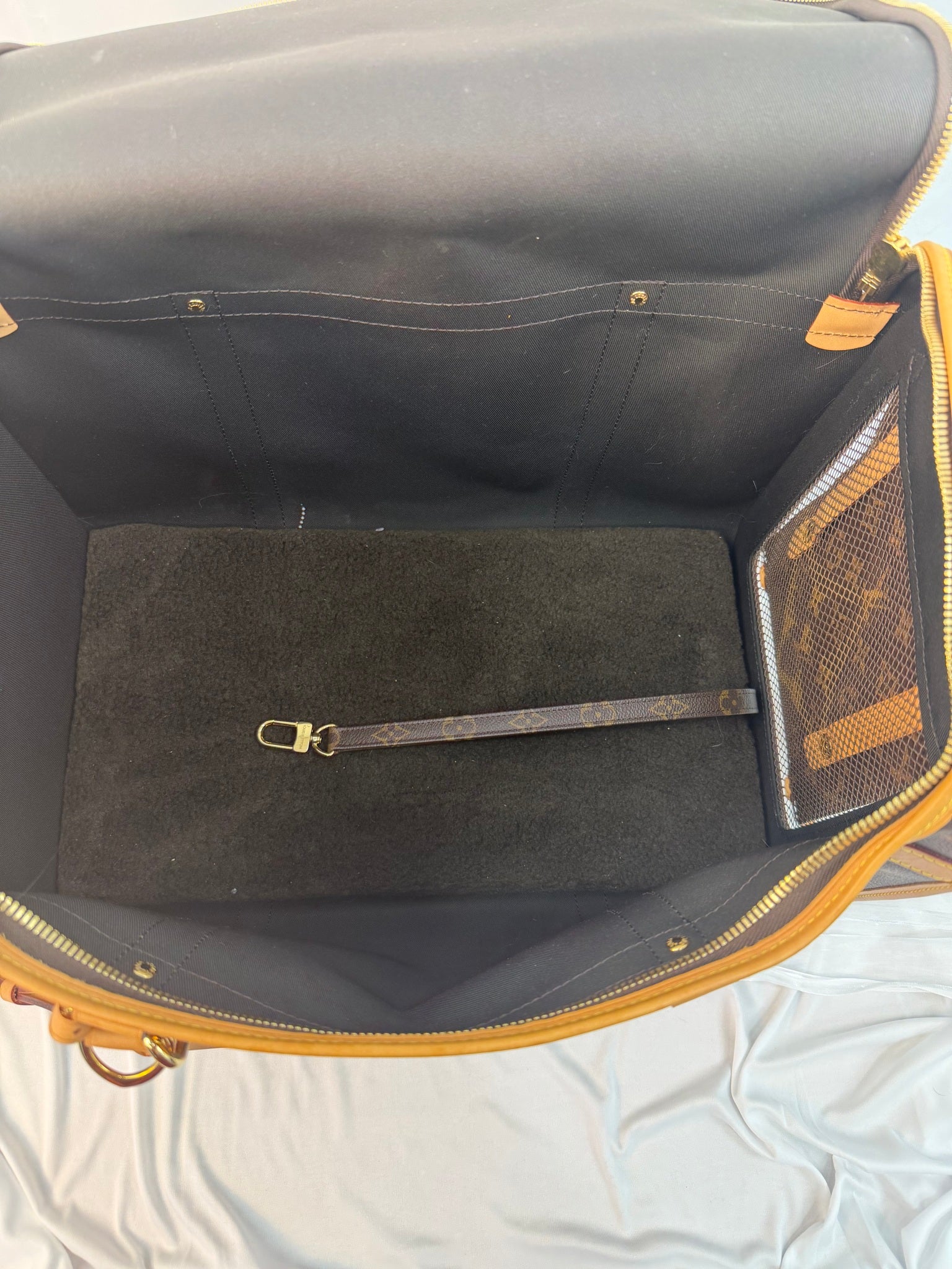 Louis Vuitton Monogram Pet Bag