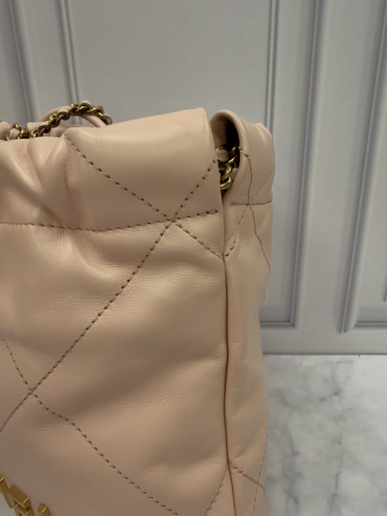 Chanel Pale Pink Quilted Leather 22 Hobo Crossbody