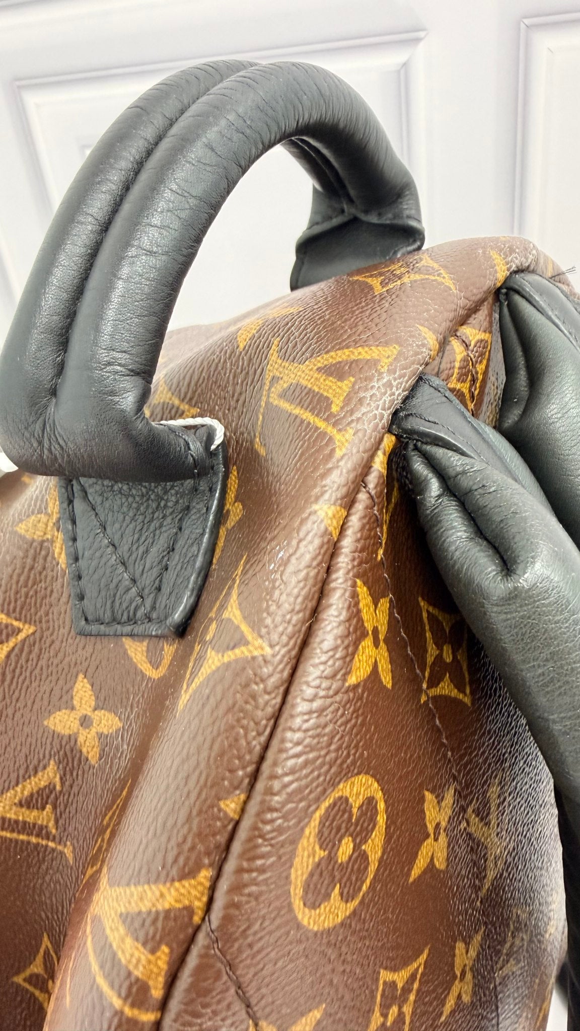 Louis Vuitton Monogram Palm Springs MM Backpack 